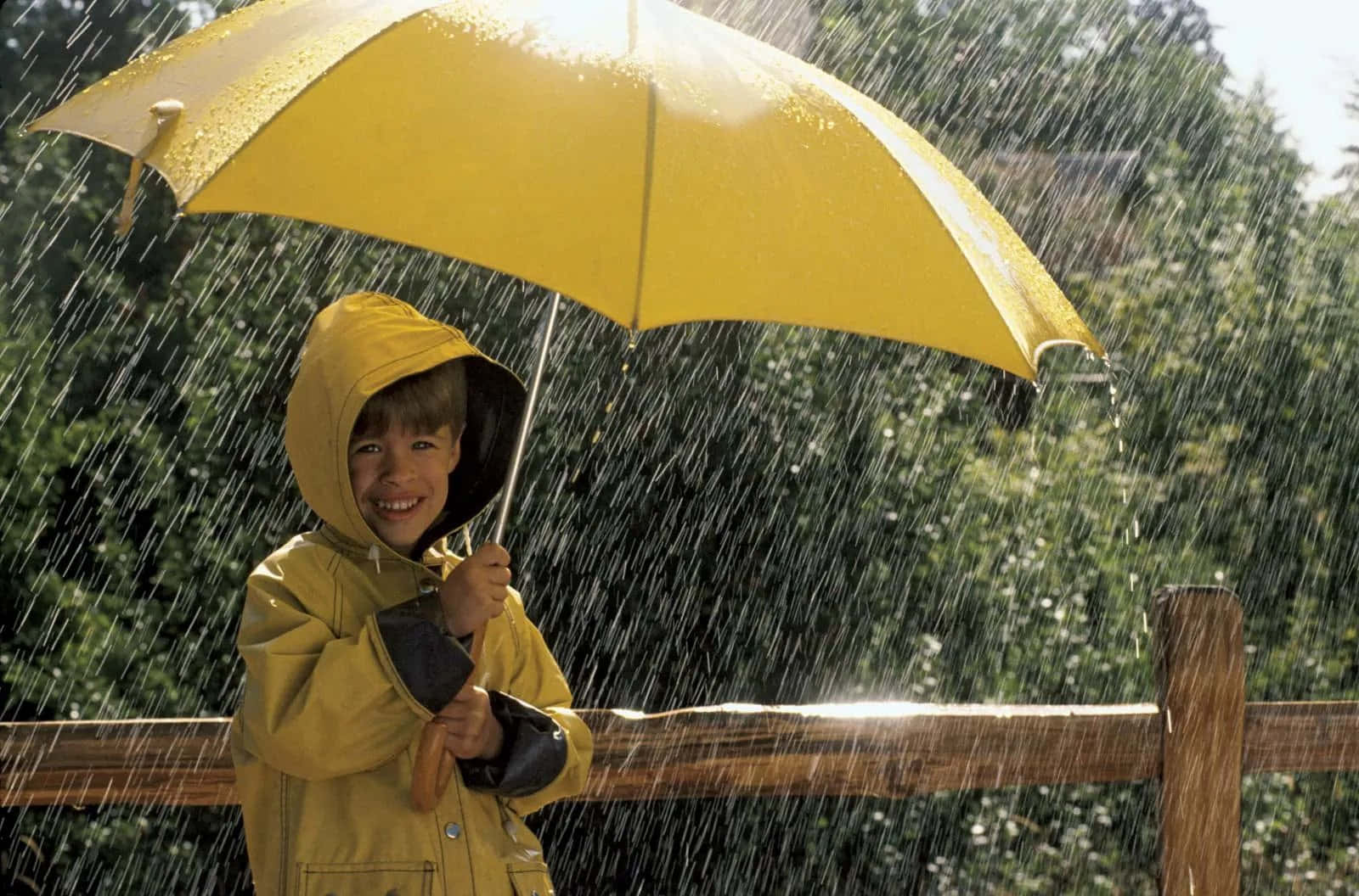 落雨 桌布 壁紙 — 一個穿著黃色雨衣和相配雨傘的開朗孩子，在木柵欄附近雨點灑落時燦爛地微笑。