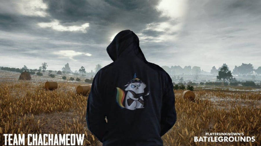 Pubg Logo 桌布 壁紙 — 一個穿著黑色連帽衫、帶有卡通貓圖案的人，站在霧氣瀰漫的乾草捆田野中，天空多雲。