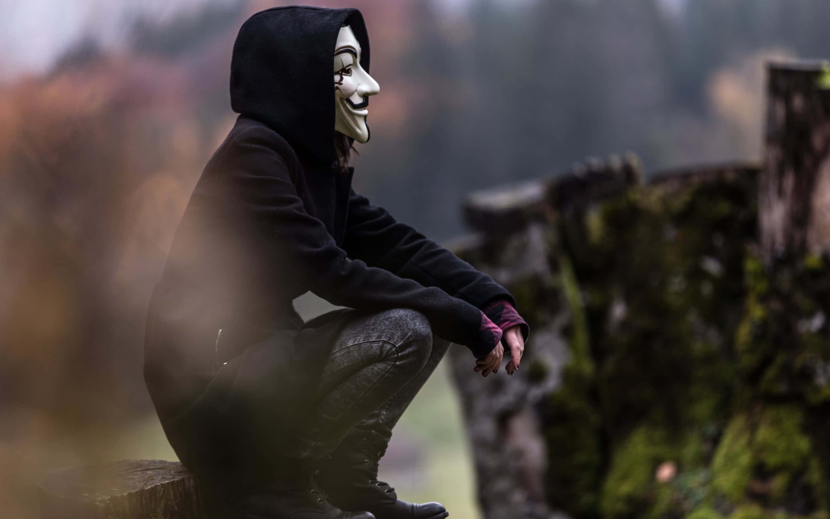 Anonymous 桌布 壁紙 — 一個穿著黑色連帽衫、戴著白色蓋伊·福克斯面具的人蹲在霧氣瀰漫的秋日森林中的長滿苔蘚的木頭上。