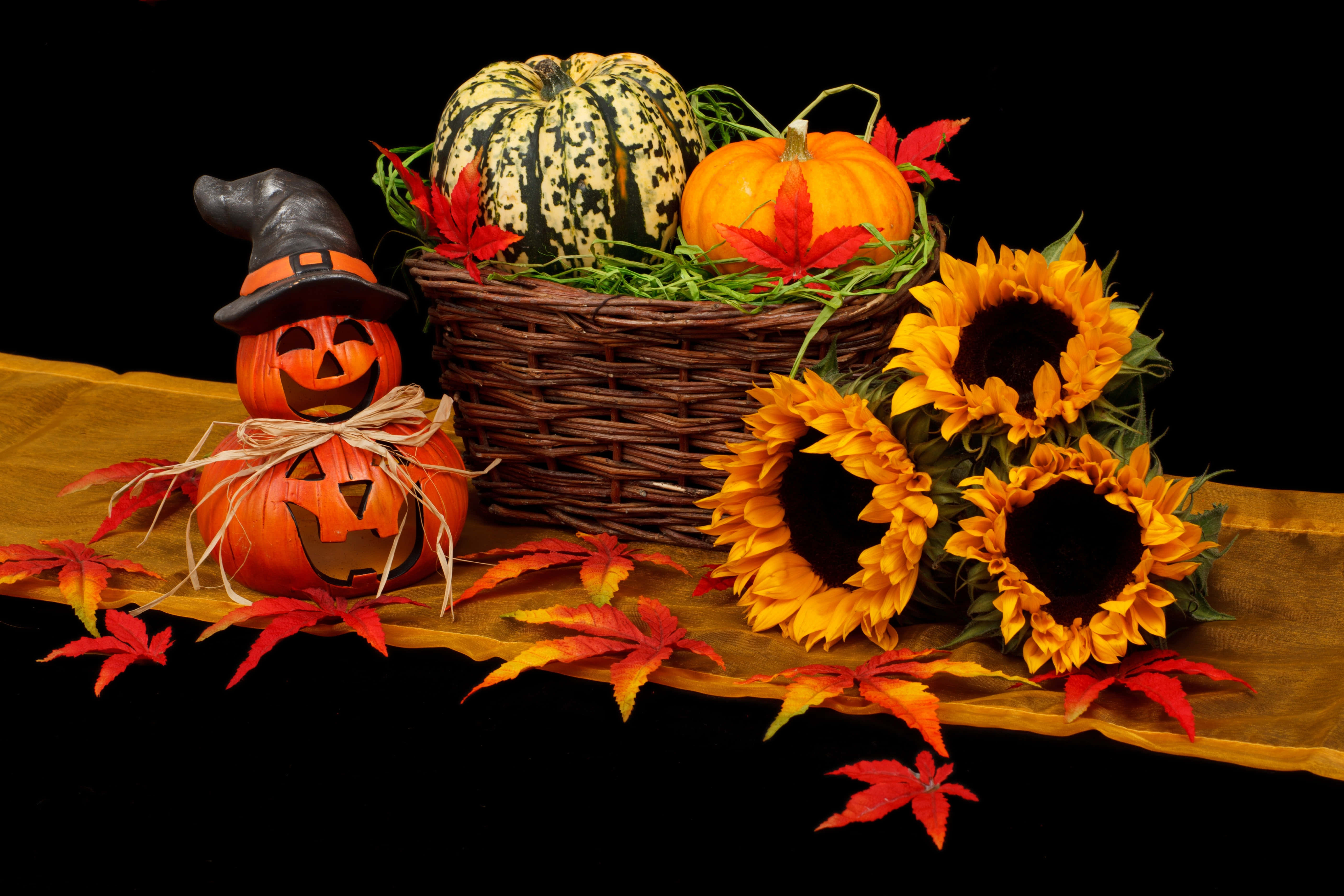 Halloween Crafts 桌布 壁紙 — 一個節日秋季靜物，南瓜、向日葵和楓葉排列在黑色背景的木質表面上。