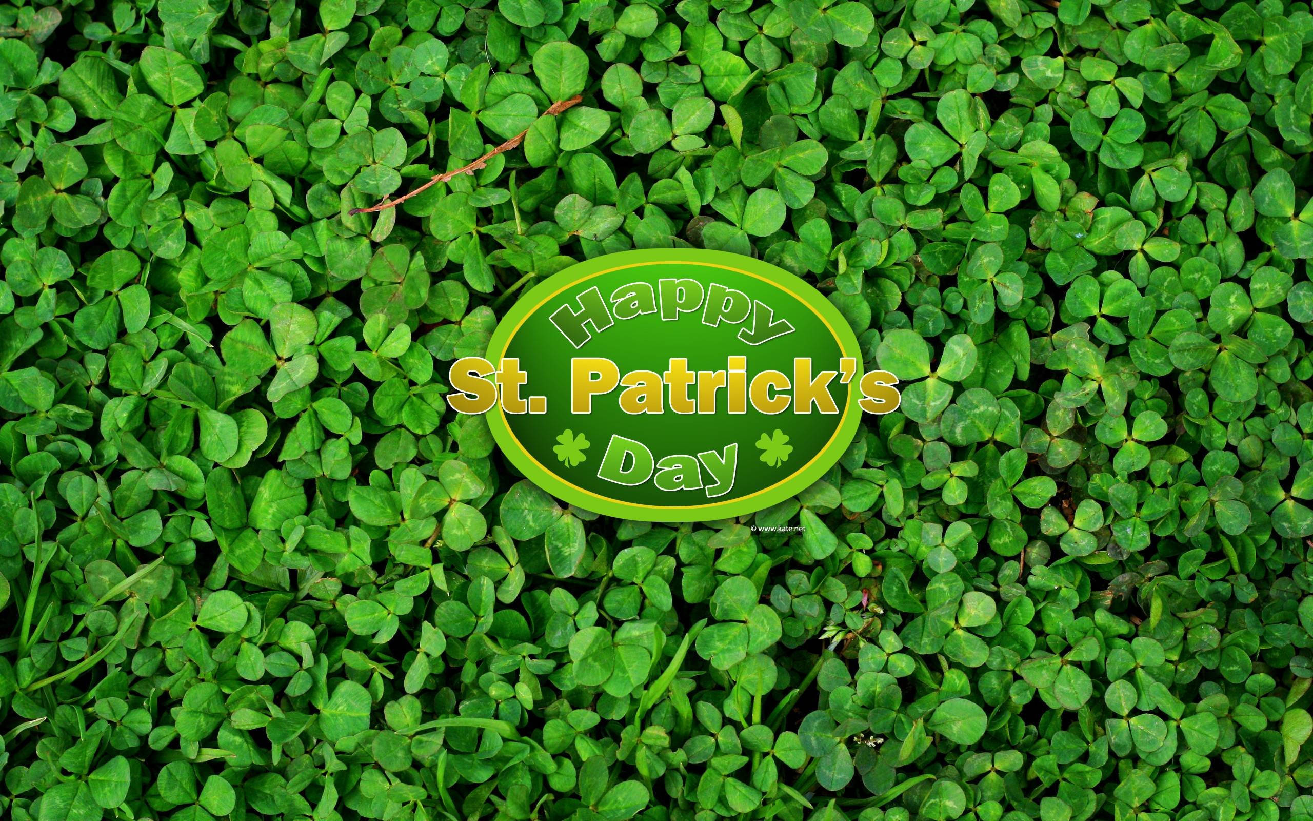 Clover Art St Patrick's Day 壁紙 — 一個節日綠色橢圓形標誌，上面寫著「Happy St. Patrick's Day」並有三葉草圖案，放置在茂密的三葉草葉片之上。