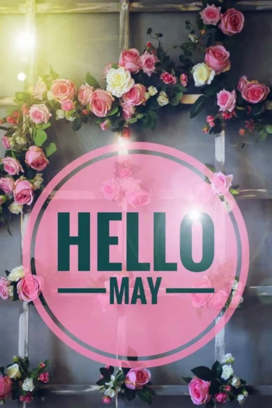 May 桌布 壁紙 — 一個粉紅色圓形標牌，上面寫著「HELLO MAY」，周圍環繞著茂盛的粉紅色和白色玫瑰編織的花環，背景是質樸的木質背景。