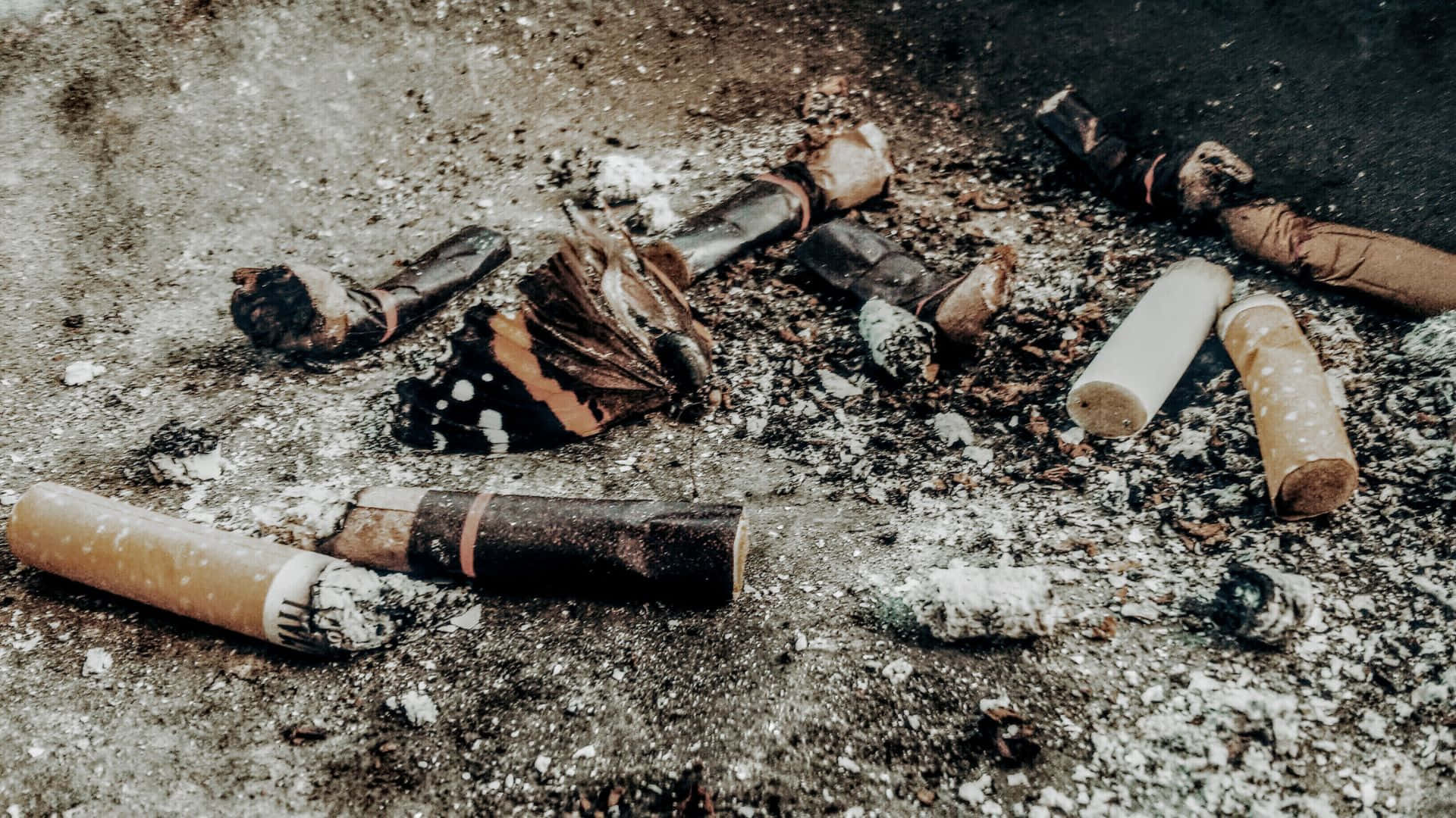 吸煙 桌布 壁紙 — 一個粗糙的特寫鏡頭，顯示被丟棄的煙頭和煙灰散落在骯髒的混凝土表面上。