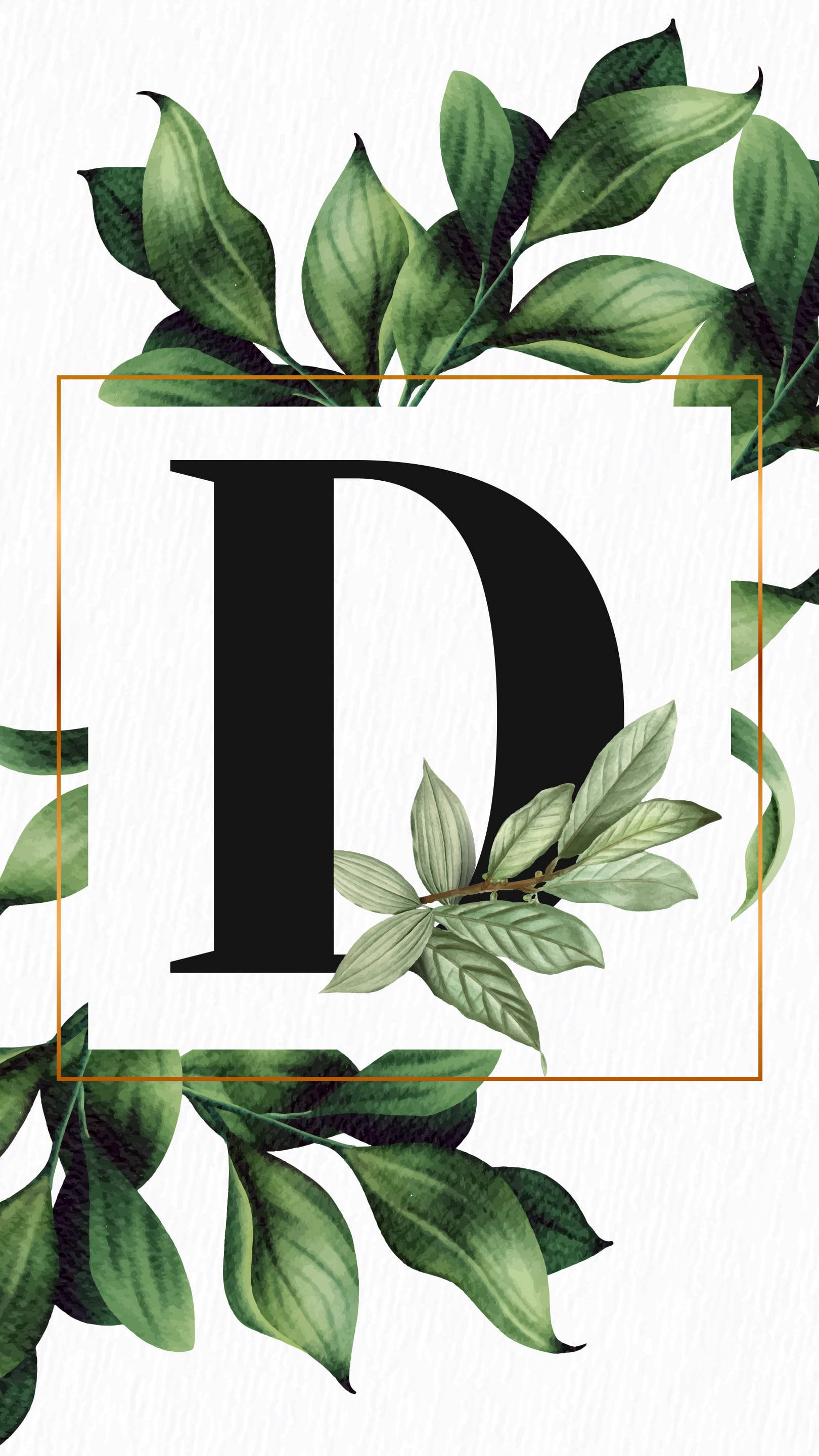 熱帶 桌布 壁紙 — 一個粗體黑色字母D，周圍環繞著茂密的綠葉，背景為帶紋理的白色。