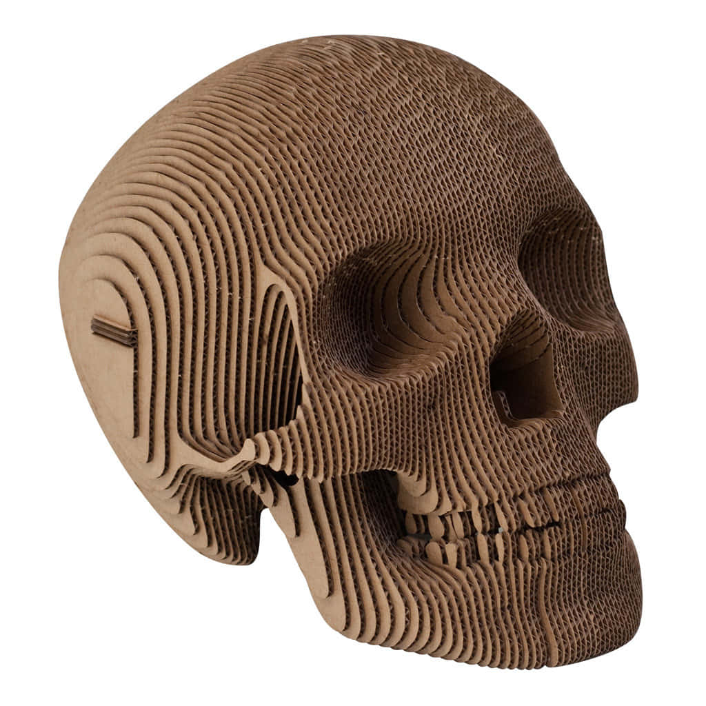 3d Skull 桌布 壁紙 — 一個精細的紙板頭骨雕塑，帶有分層凹槽和自然棕色色調，背景為白色。