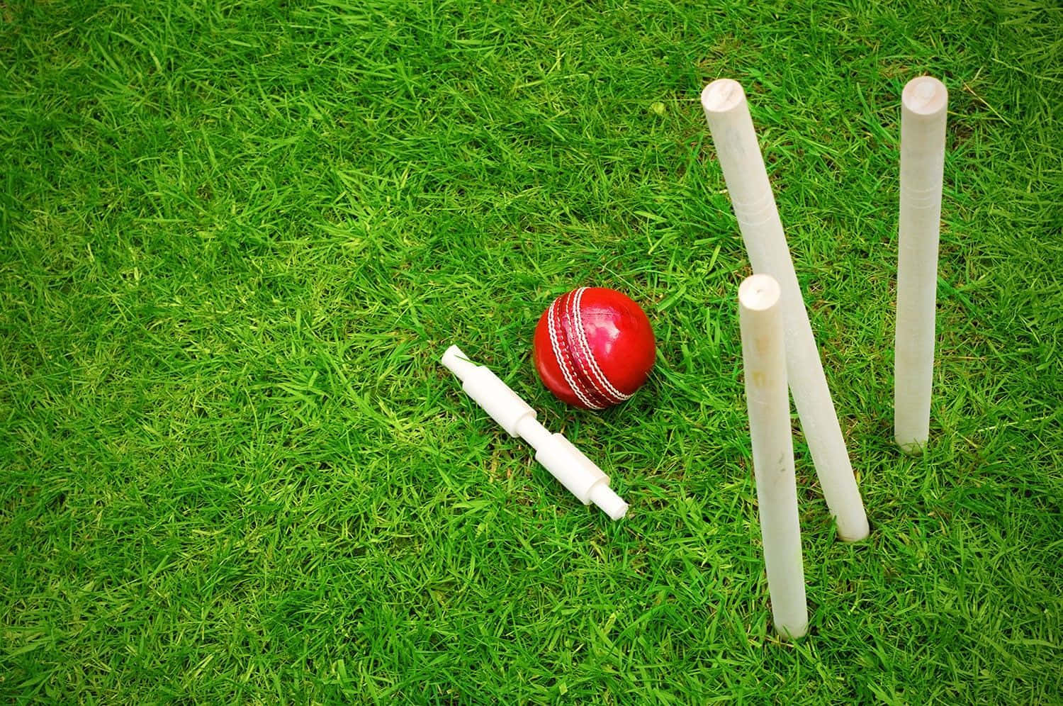 Cricket 桌布 壁紙 — 一個紅色板球和白色三柱門放在明亮日光下的鮮綠色草地上。