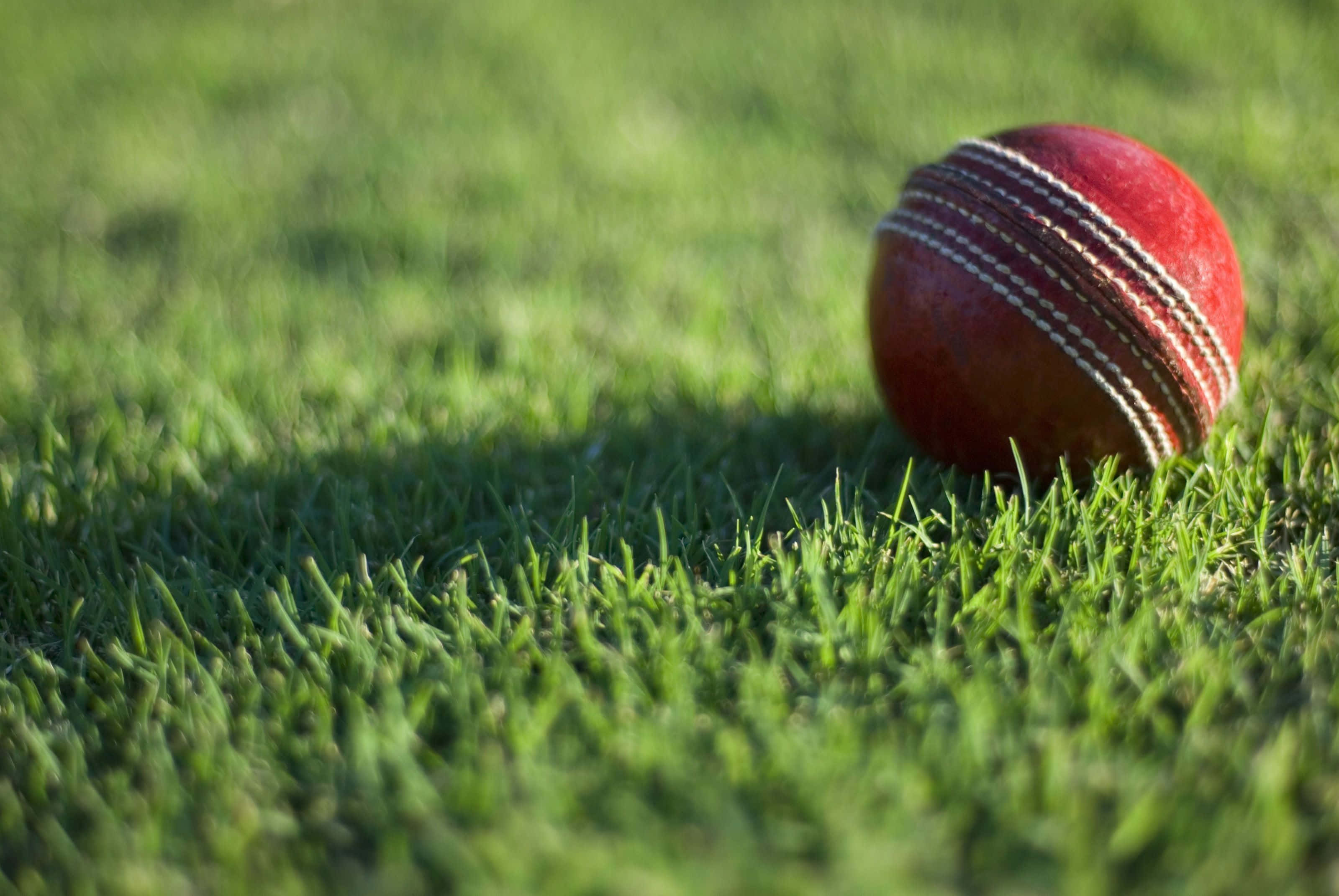 Cricket 桌布 壁紙 — 一個紅色板球嘅特寫，有白色縫線，喺明亮陽光下放喺鮮綠色草地上。