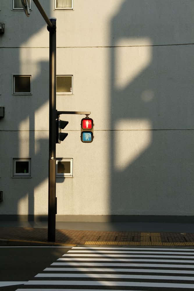 Minimalist Photography 桌布 壁紙 — 一個紅色行人交通燈在陽光明媚的城市行人過路處上投下長長的影子，背景是一面樸素的建築牆壁。