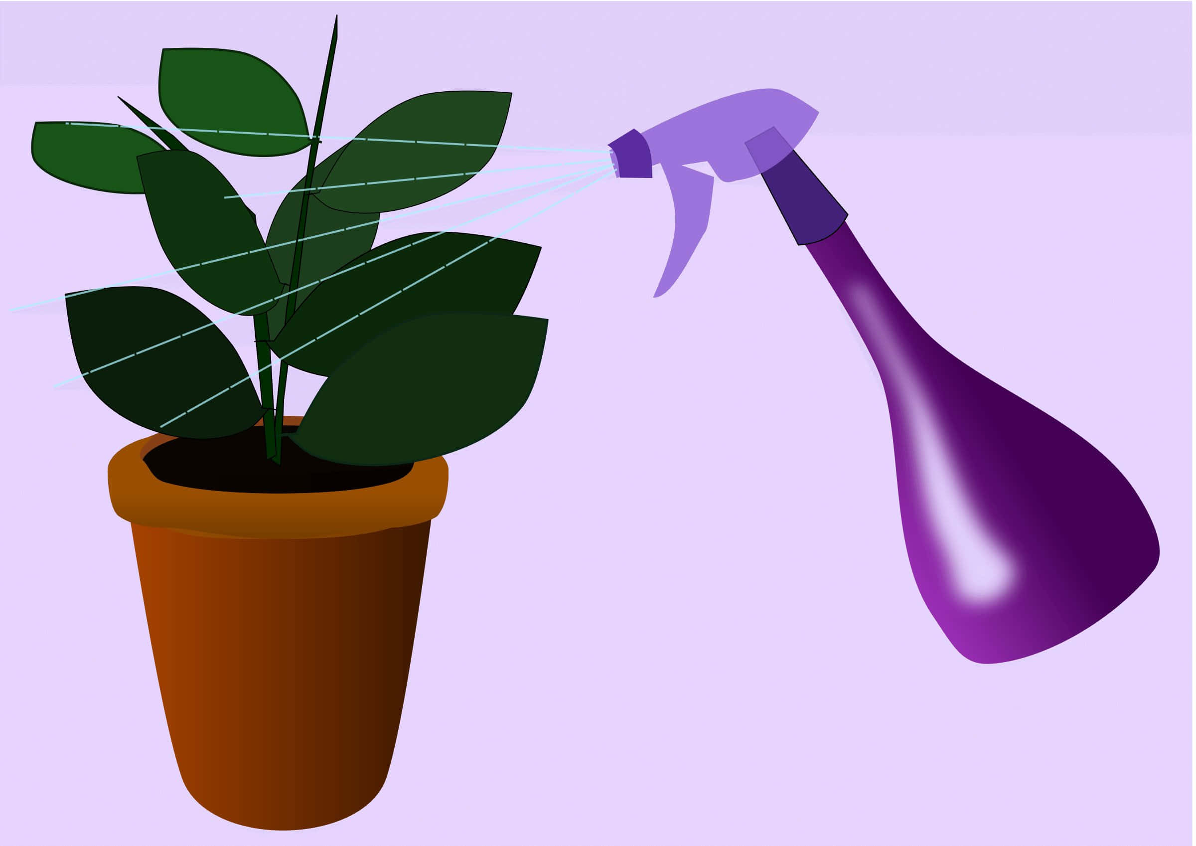 Clipart 桌布 壁紙 — 一個紫色噴霧瓶在柔和的薰衣草背景前，向一株寬綠葉盆栽植物噴水。