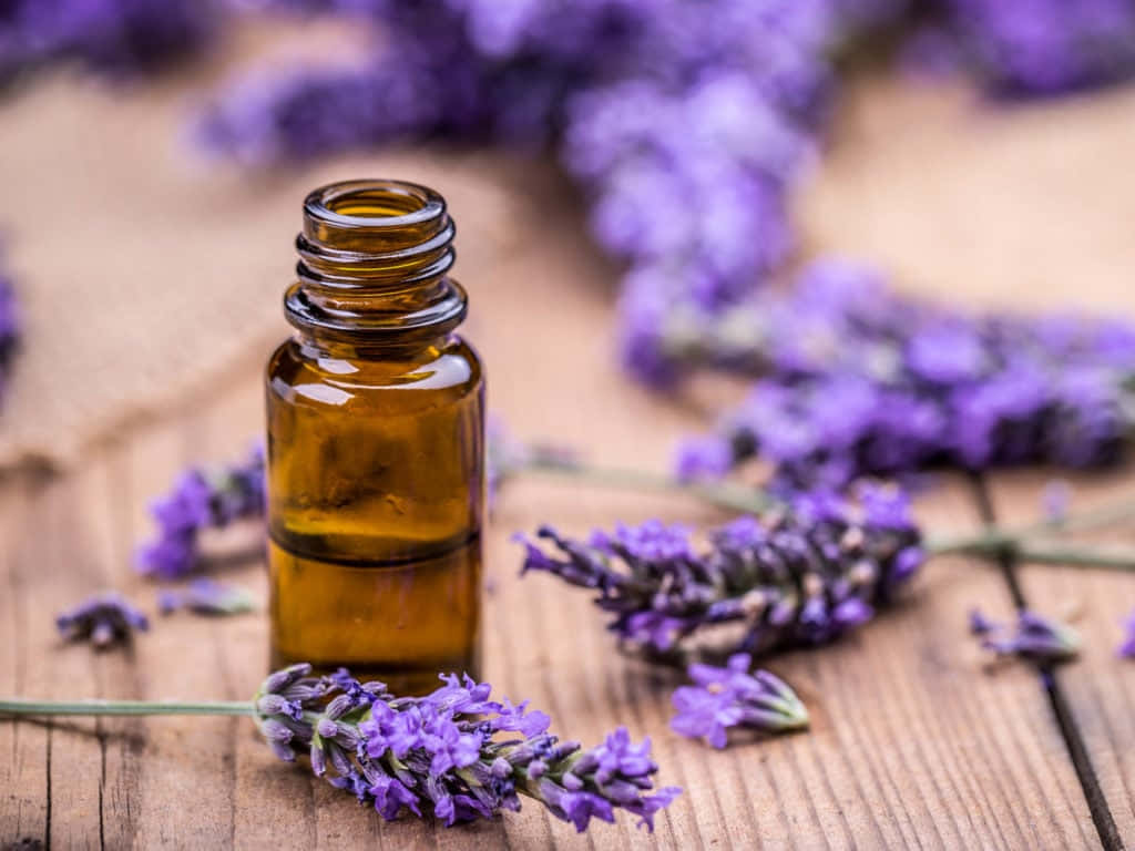 Aromatherapy 桌布 壁紙 — 一個細小的琥珀色薰衣草油瓶放在質樸的木質表面上，周圍是新鮮的紫色薰衣草枝條。