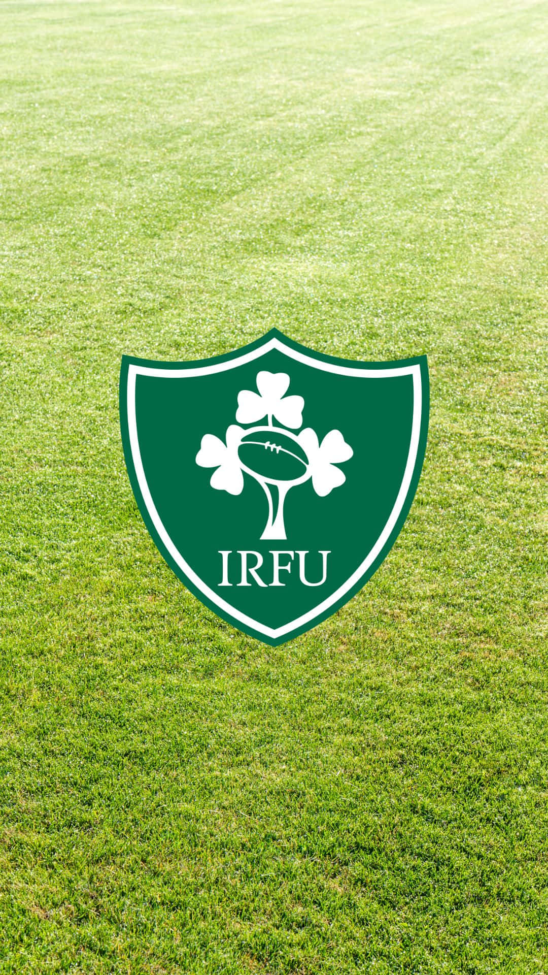 Ireland Rugby 桌布 壁紙 — 一個綠色和白色的IRFU欖球聯盟標誌，在明亮的日光下居中於充滿活力的草地上。