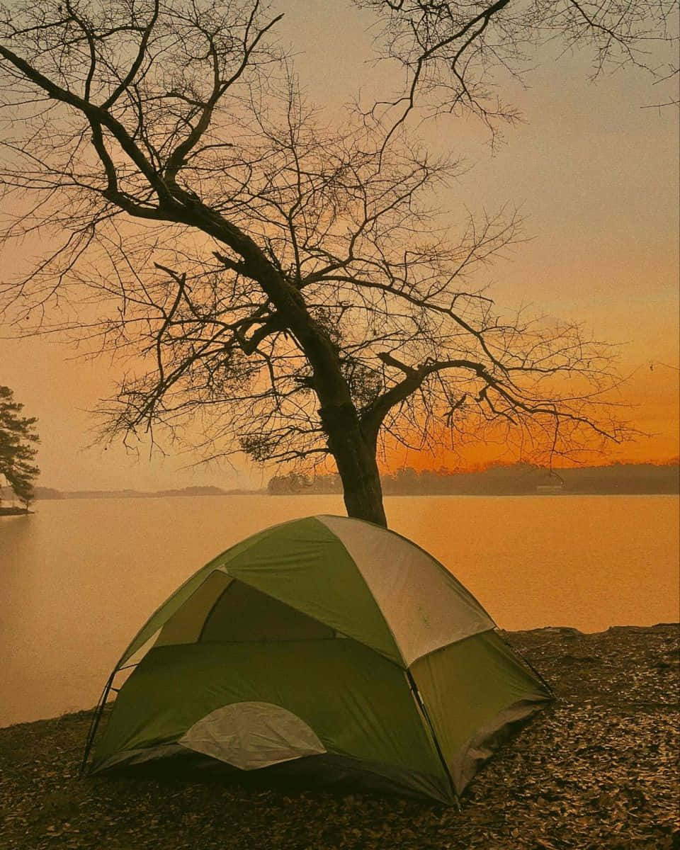 Minimalist Camping 桌布 壁紙 — 一個綠色和白色的帳篷放在日落時分平靜湖邊的一棵光禿禿的樹下，天空呈現溫暖的橙色。