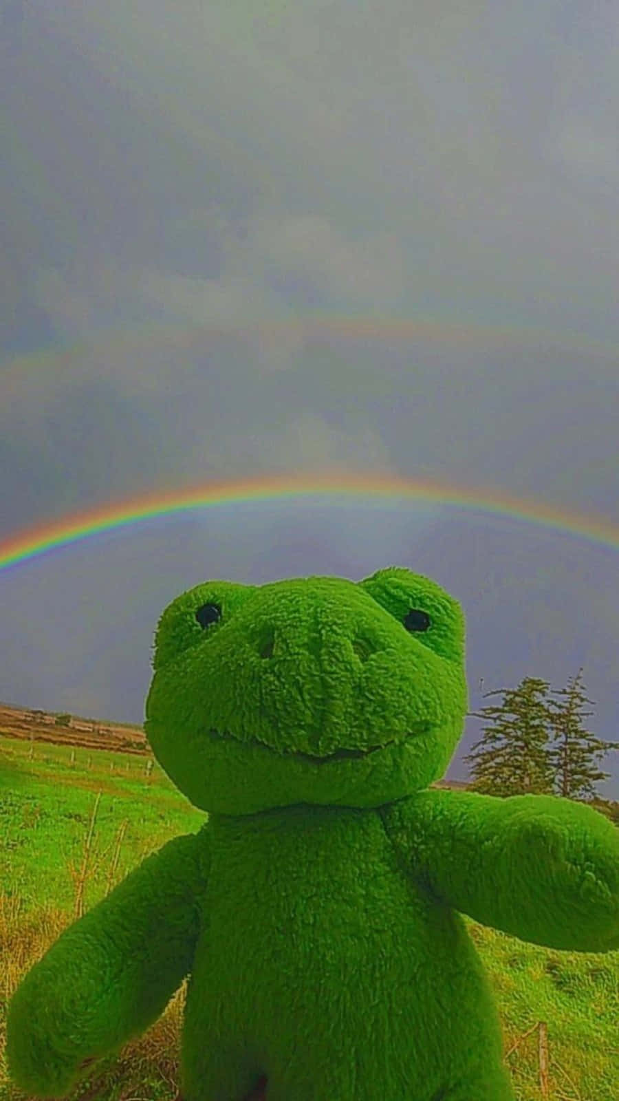 Aesthetic Frog 桌布 壁紙 — 一個綠色毛絨青蛙玩具站在草地上，上方是橫跨多雲天空的鮮明雙彩虹。