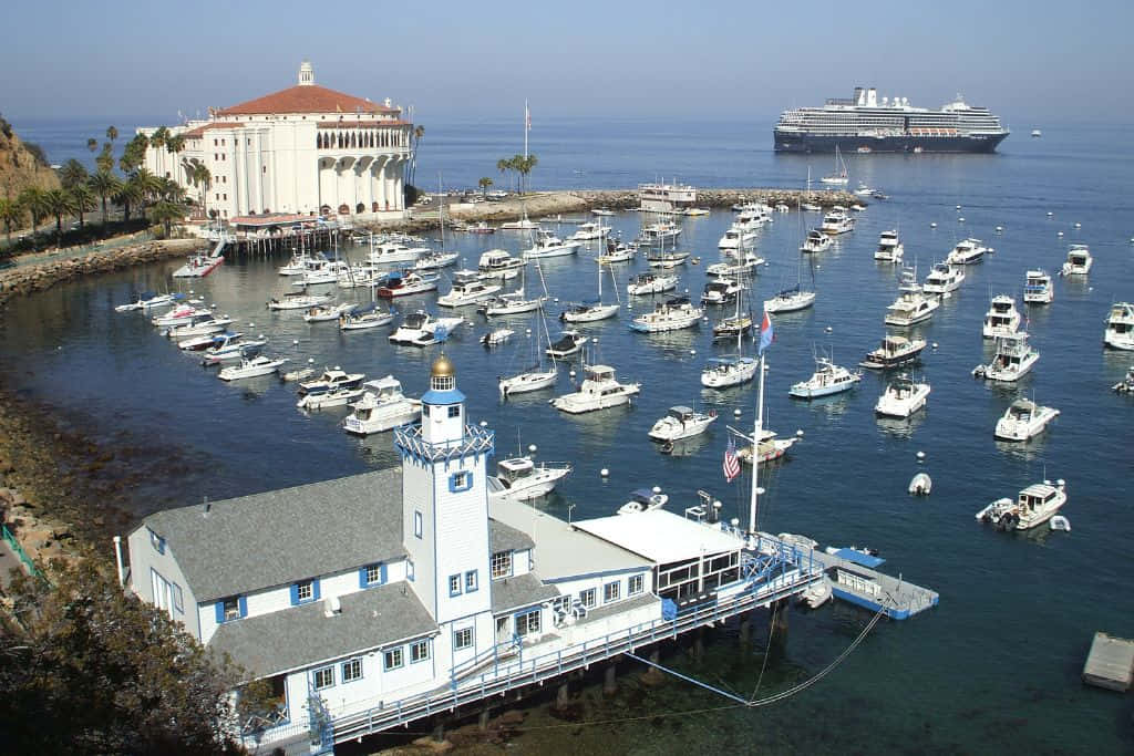 California Island 桌布 壁紙 — 一個繁忙的港口，停滿了帆船和機動遊艇，靠近一座白色燈塔和宏偉的海邊酒店，遠處有一艘郵輪。