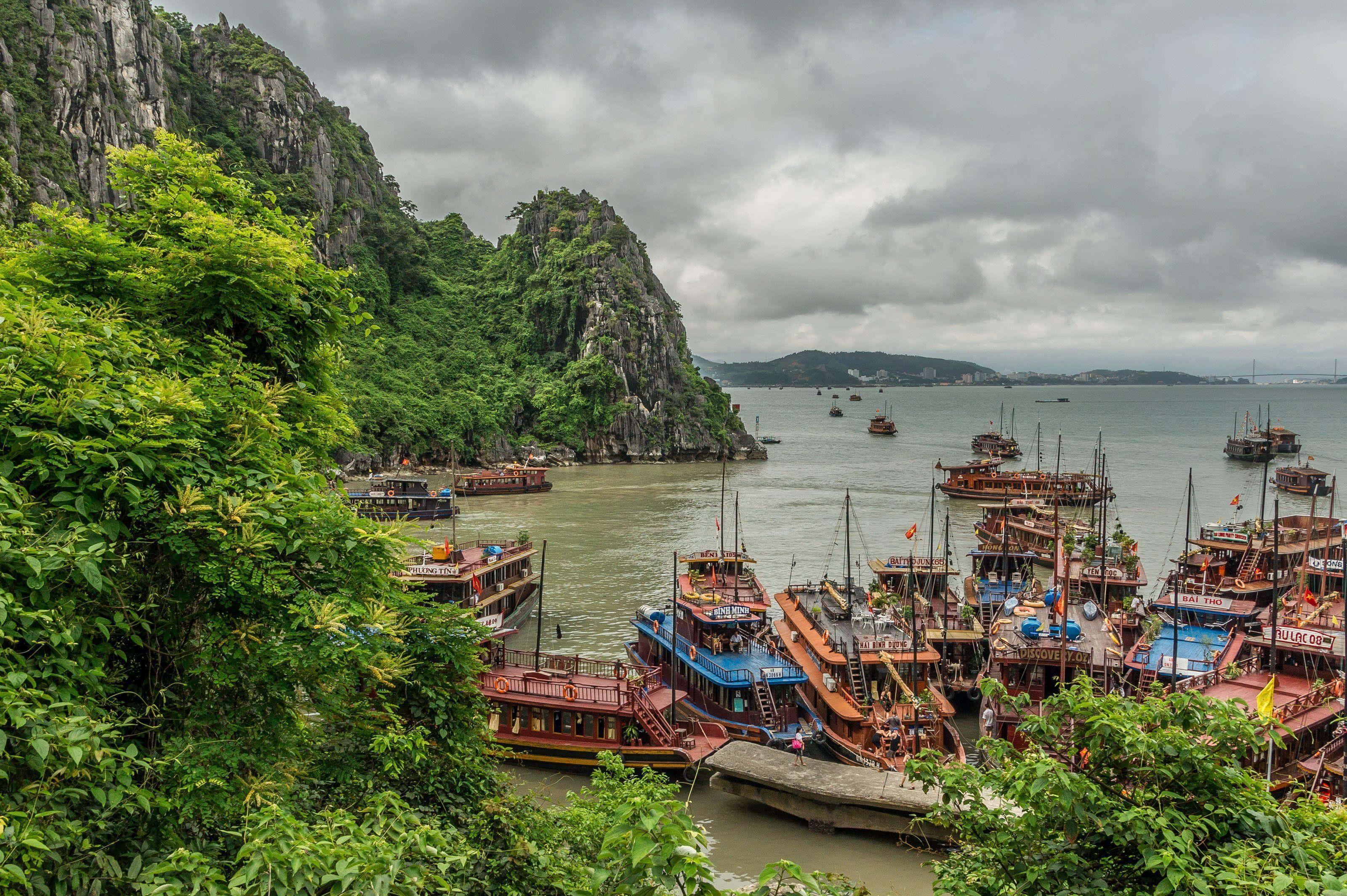 Vietnam 桌布 壁紙 — 一個繁忙的港口，充滿了色彩繽紛的木船，坐落在鬱鬱蔥蔥的綠色懸崖之間，天空多雲。