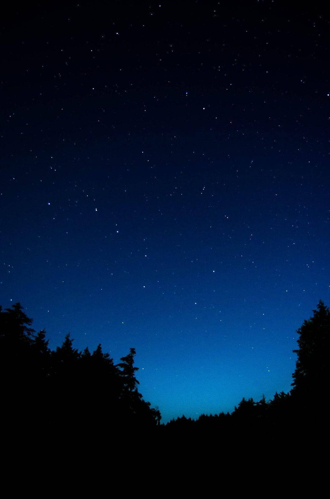 夜空 桌布 壁紙 — 一個繁星點點的夜空，帶有深藍色漸變和剪影樹木勾勒出地平線。
