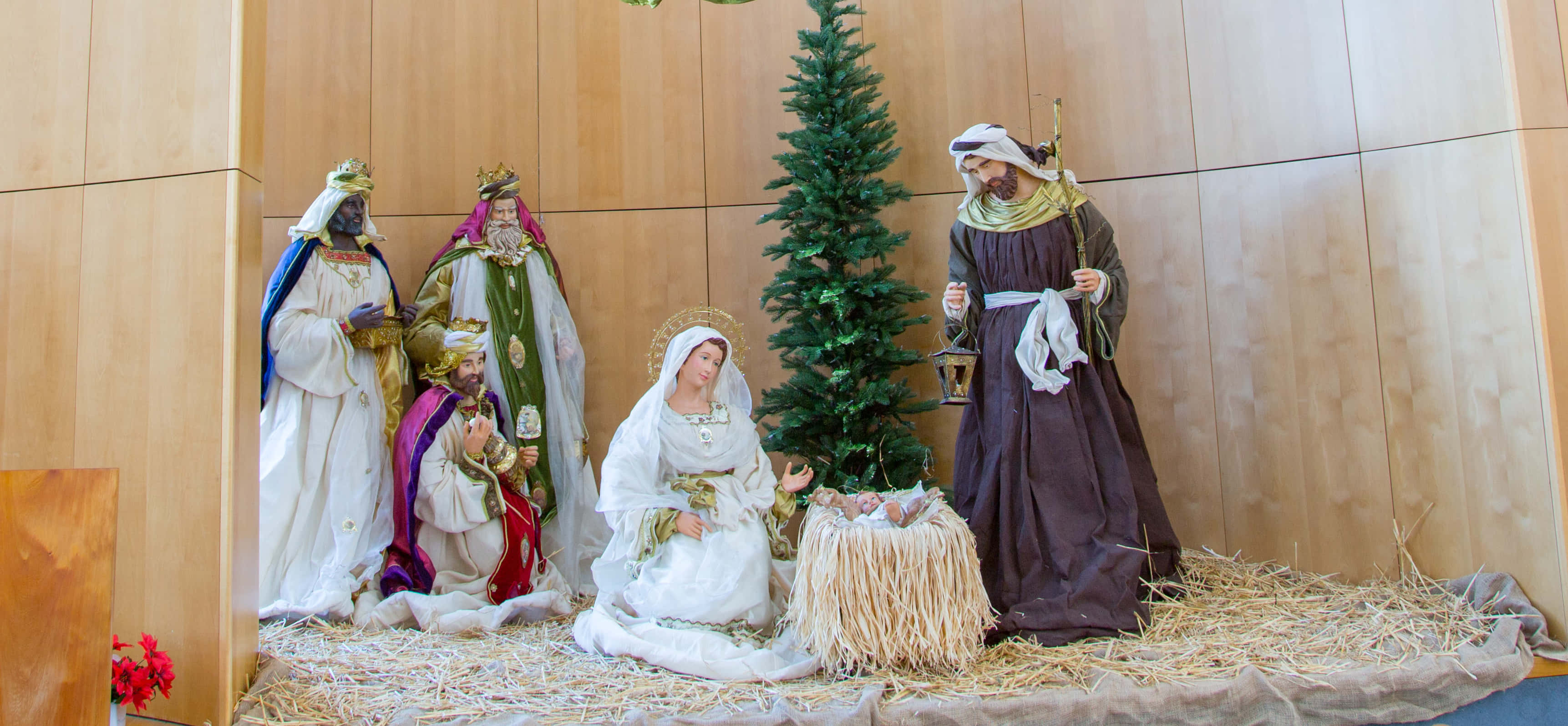 Nativity Scene 桌布 壁紙 — 一個耶穌誕生的場景，瑪利亞、約瑟和三位智者聚集在一個小常青樹下的馬槽旁，馬槽裡有嬰兒耶穌。