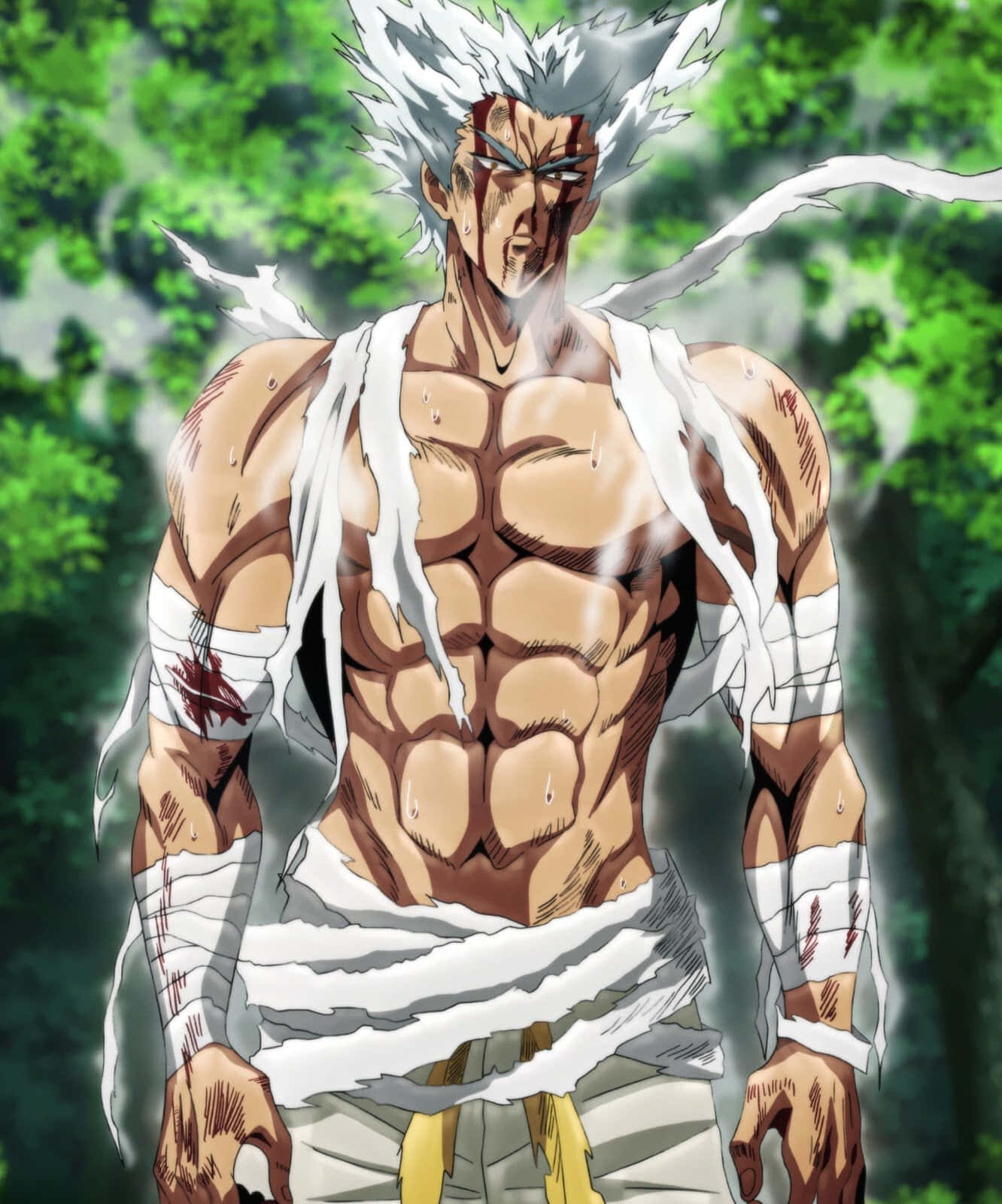 Garou 桌布 壁紙 — 一個肌肉發達的動漫戰士，有著尖刺的白髮和破爛的白色衣服，站在茂密的綠色森林中，渾身是血，表情激烈。