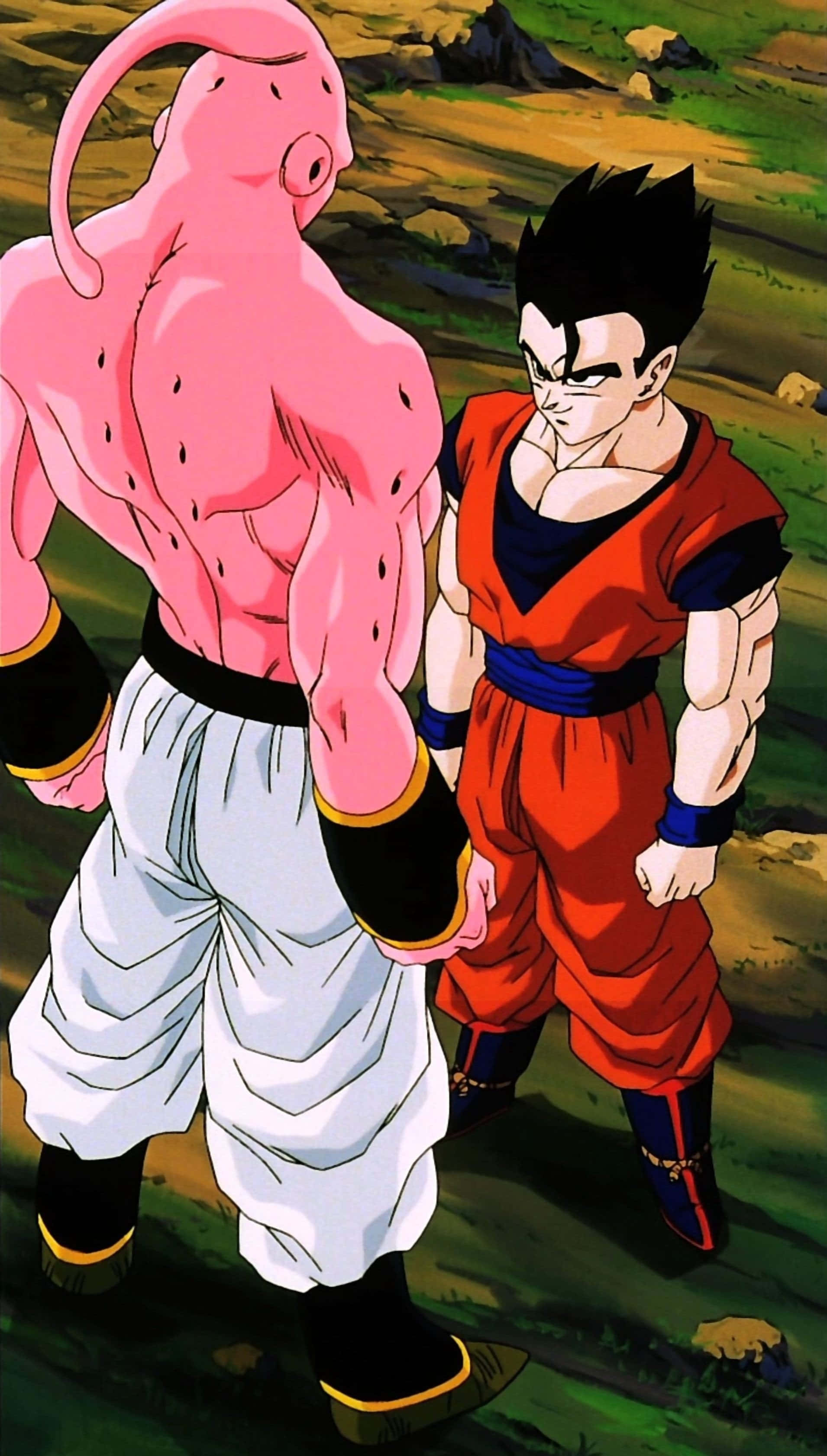 Buu Saga 桌布 壁紙 — 一個肌肉發達的粉紅色那美克星人和一個堅定的撒亞人戰士在明亮的日光下，於一個長滿草的戶外競技場中對峙。