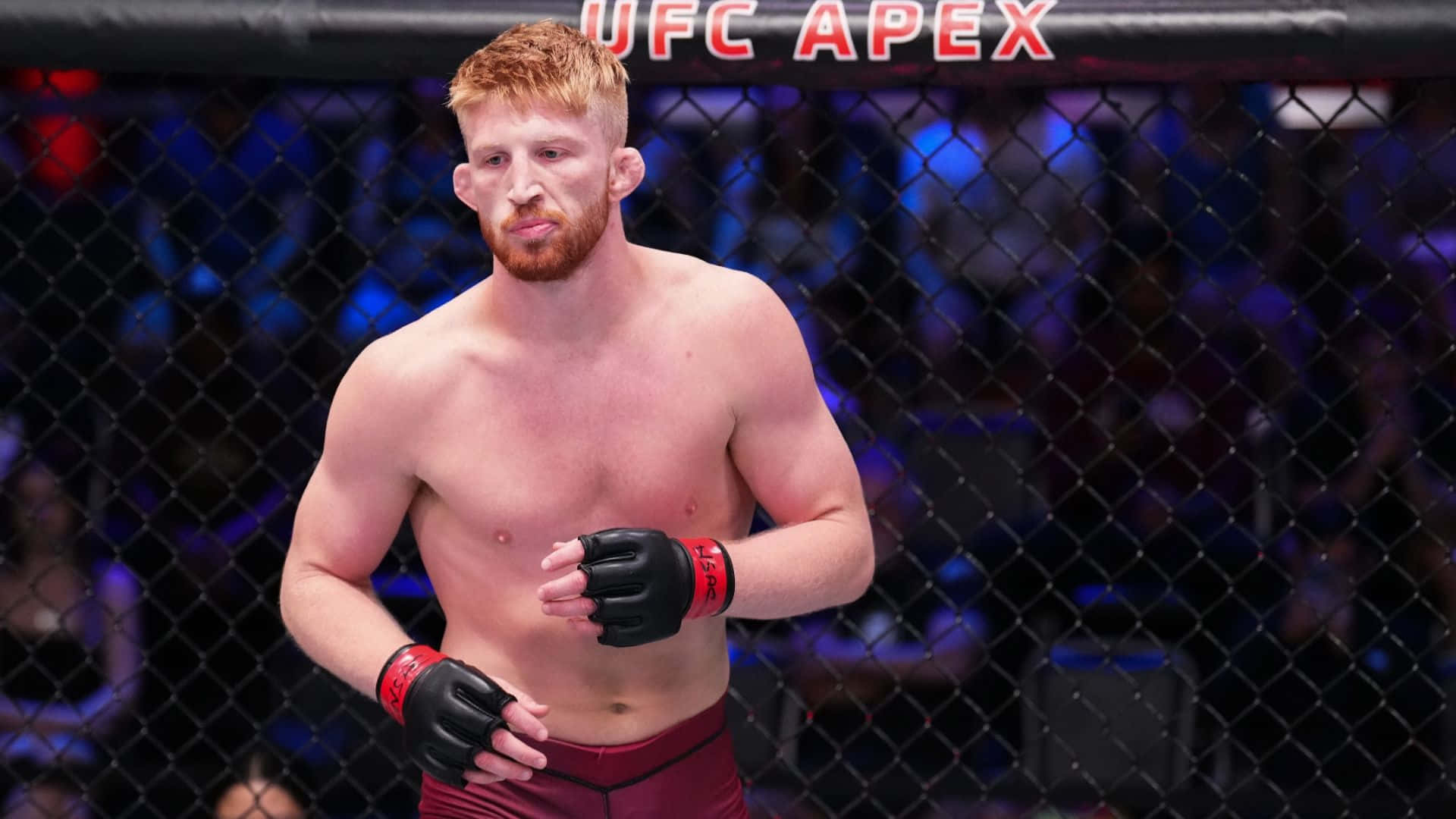 UFC 桌布 壁紙 — 一個肌肉發達的紅髮戰士穿著紅色短褲和黑色手套，帶著專注的表情站在UFC Apex八角籠內。