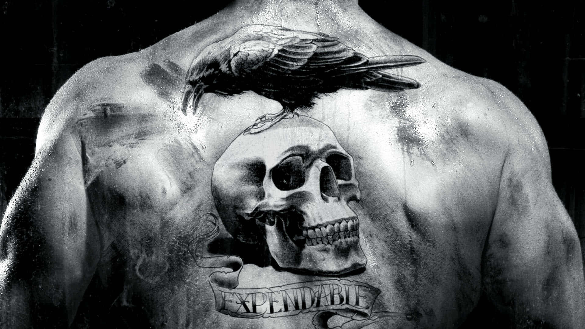 Halloween Tattoos 桌布 壁紙 — 一個肌肉發達的背部展示了一個詳細的紋身，圖案為一隻烏鴉棲息在頭骨上，下方有「expendable」這個詞。