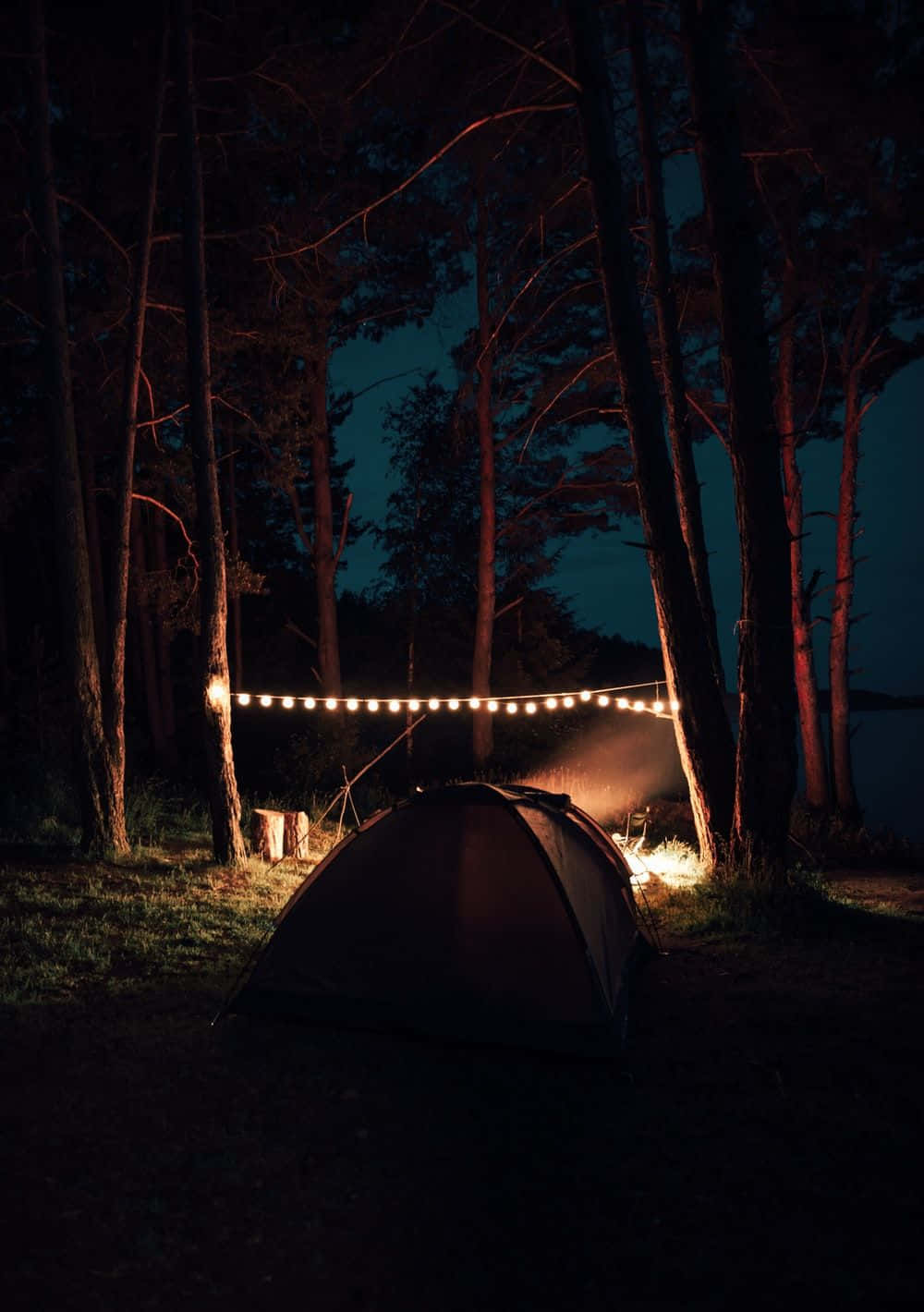 Minimalist Camping 桌布 壁紙 — 一個舒適的帳篷在暮色中的黑暗森林裡，在燈串下溫暖地發光。