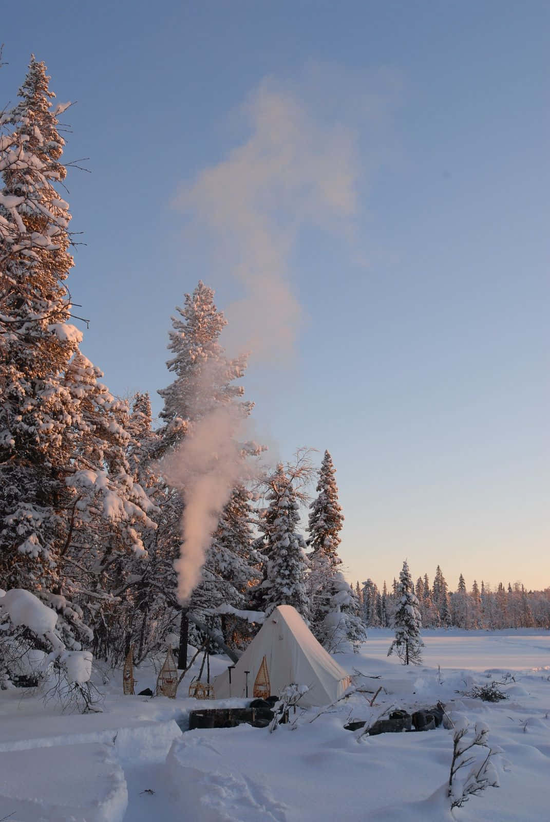 Winter Camping 桌布 壁紙 — 一個舒適的白色帳篷在金色日出的雪森林中散發出溫暖的蒸汽。