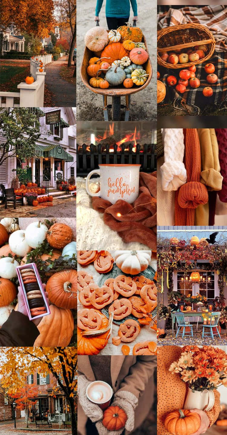 First Day Of Fall 桌布 壁紙 — 一個舒適的秋季拼貼畫，包含南瓜、傑克南瓜燈、餅乾、熱飲和充滿活力的橙色和金色色調的秋葉。