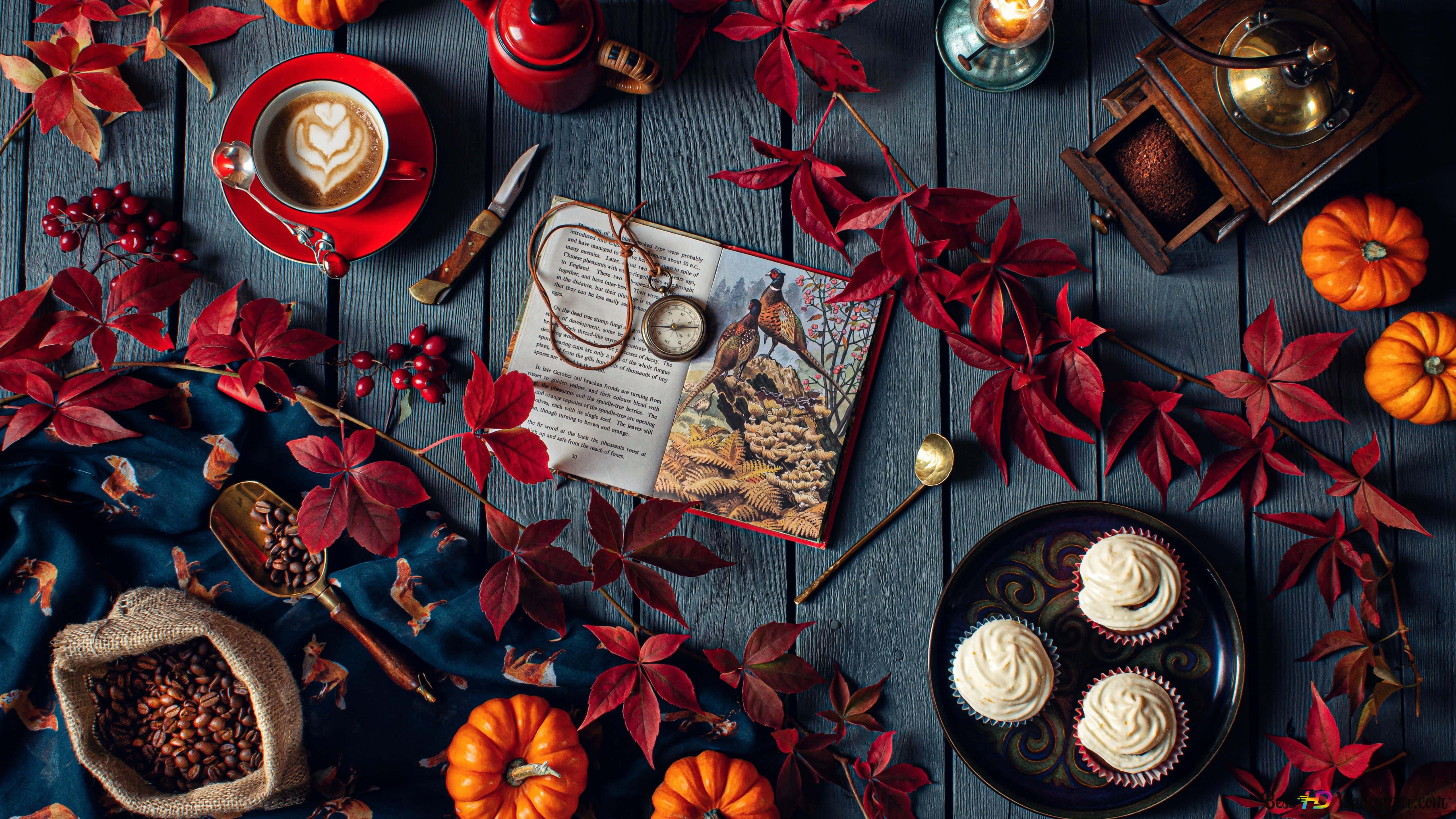 Halloween Books 桌布 壁紙 — 一個舒適的秋日靜物，紅葉、南瓜、咖啡和杯子蛋糕擺放在深色木桌上。