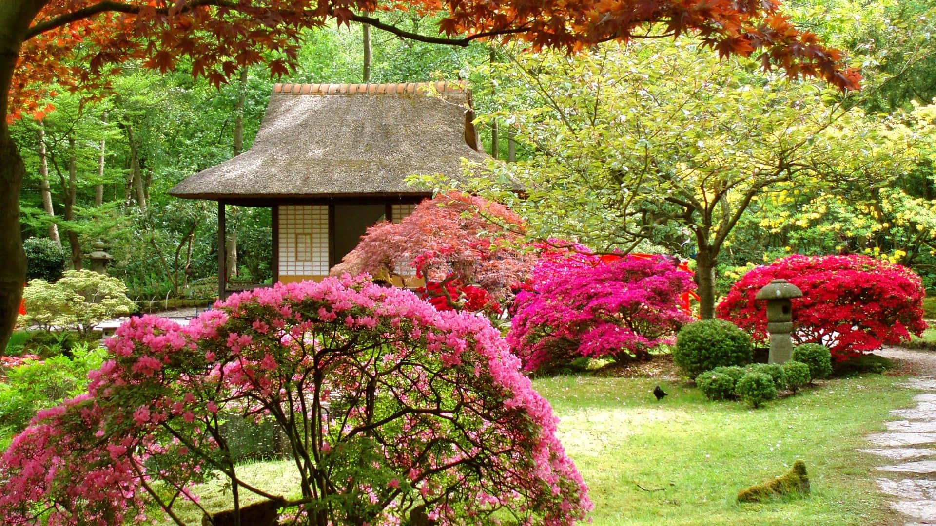 一個色彩繽紛的日本花園，綻放著鮮花與樹木 壁紙