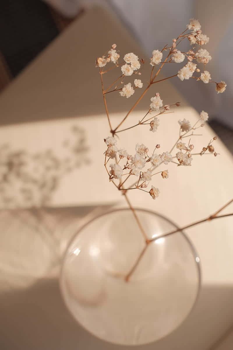 一個花瓶裡插著一些花 壁紙