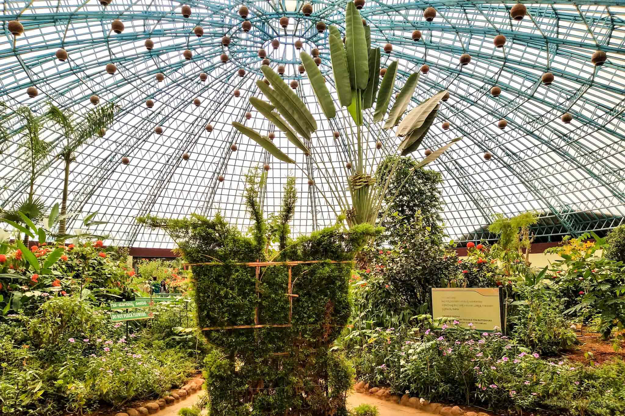 Butterfly Park 桌布 壁紙 — 一個茂盛的熱帶花園在巨大的玻璃和鋼鐵圓頂下茁壯成長，掛滿了果實和充滿活力的樹葉。