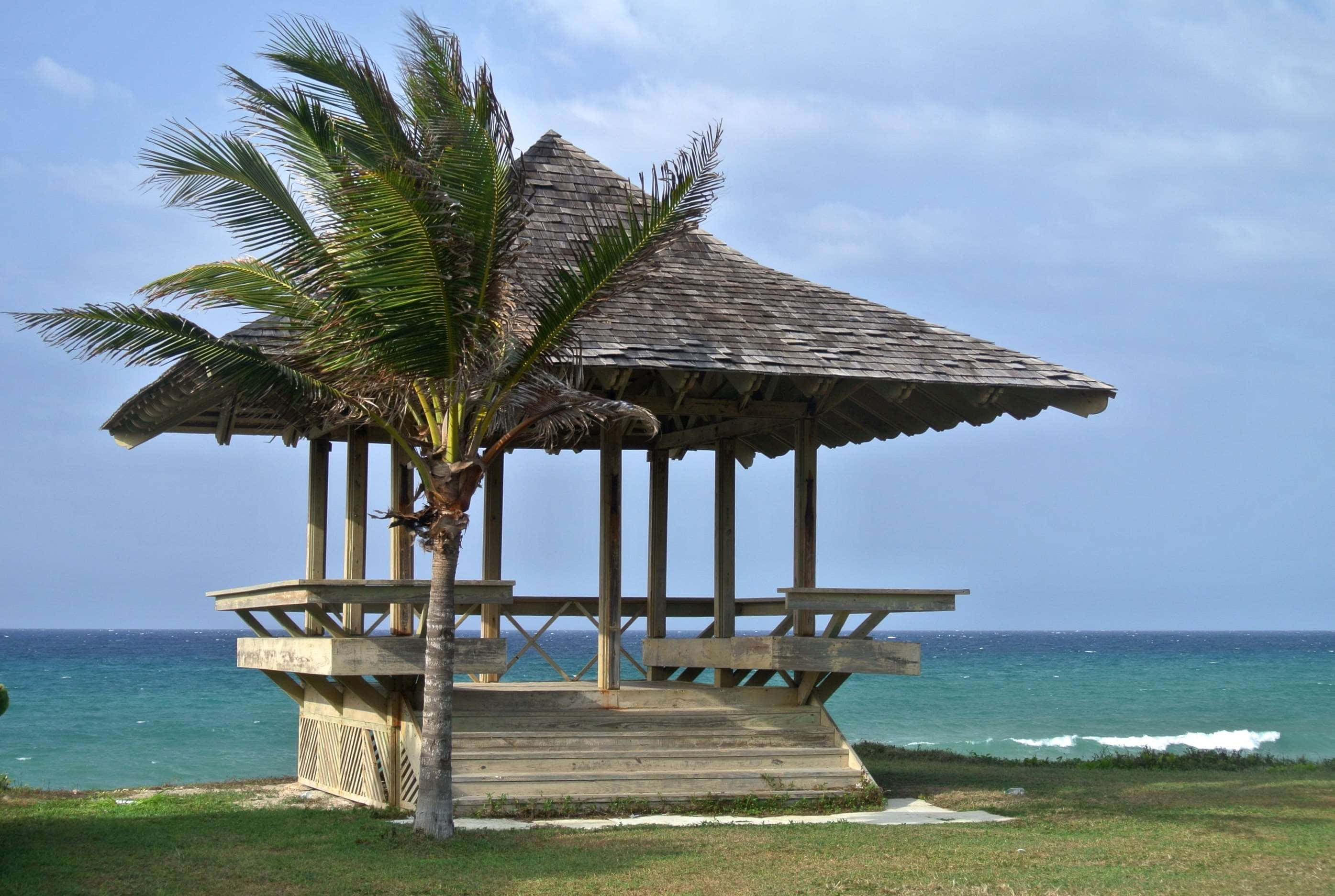 Beach Huts 桌布 壁紙 — 一個茅草屋頂的木製涼亭矗立在棕櫚樹旁的草地上，俯瞰著清澈藍天下碧綠的海浪。