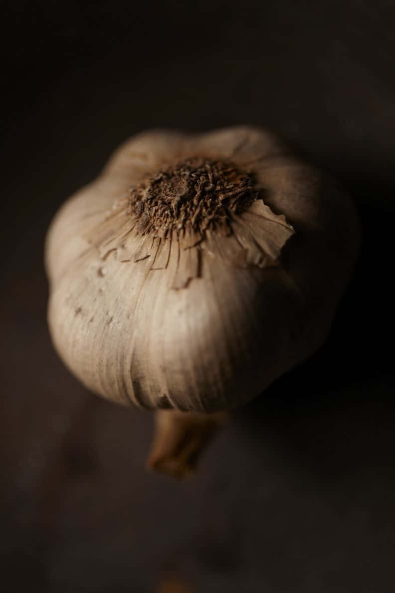 Black Garlic 桌布 壁紙 — 一個蒜頭從上方觀看，置於深色背景上，柔和光線突顯其紙質紋理。