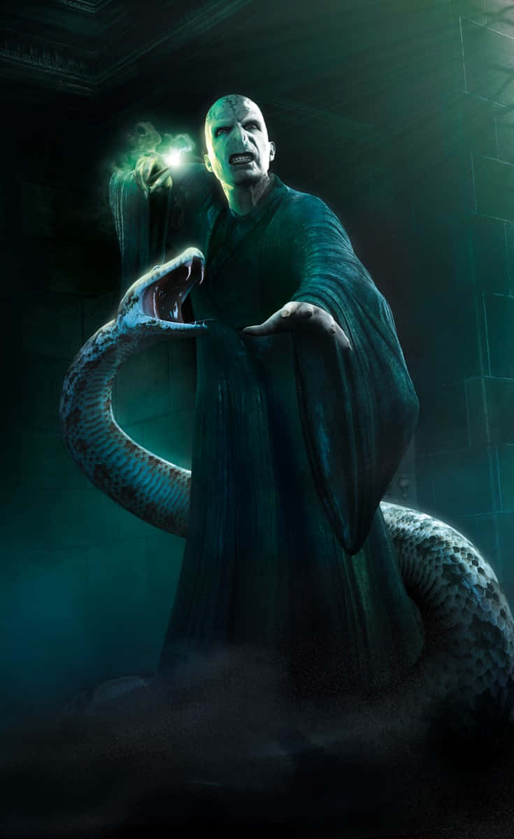 Harry Potter Nagini 桌布 壁紙 — 一個蒼白的光頭男人穿著深色長袍，手持發光的魔杖，一條大蛇纏繞在他的腿上，站在光線昏暗的石室中，氣勢洶洶。