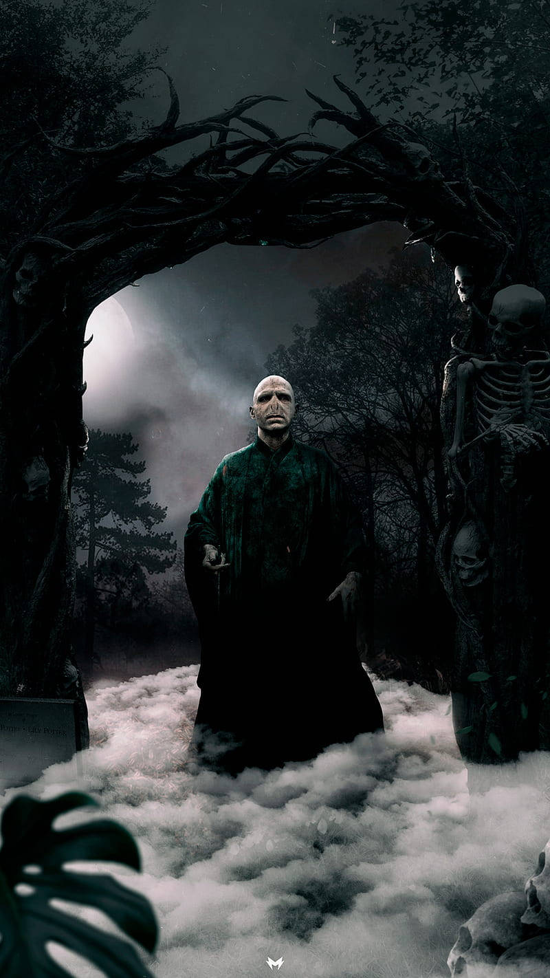 voldemort 桌布 壁紙 — 一個蒼白的身影穿著深色長袍，站在月光下的墓地中，扭曲的骷髏拱門下，充滿霧氣和頭骨。