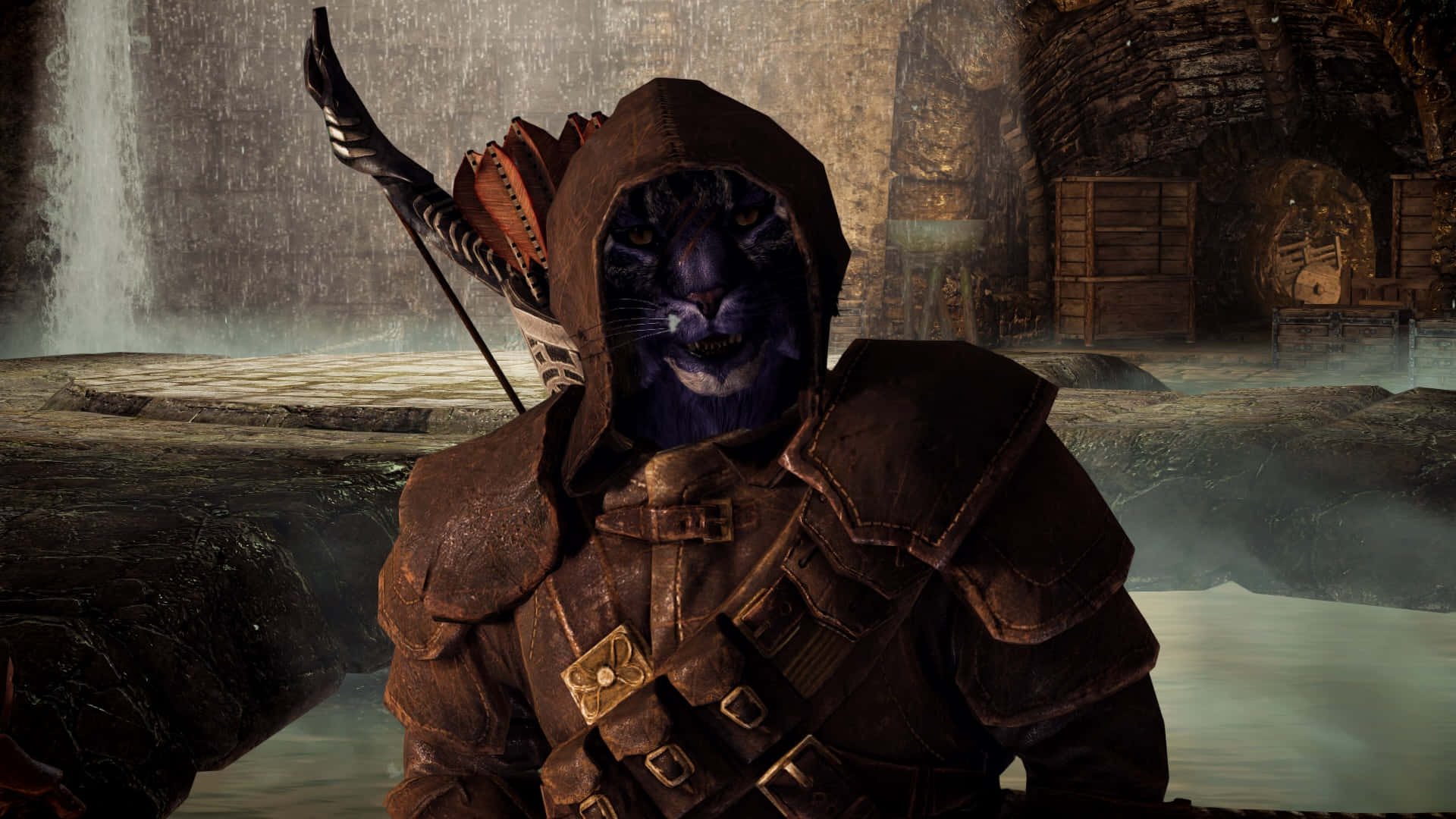 Thieves Guild 桌布 壁紙 — 一個藍皮膚的貓戰士穿著深色連帽盔甲，站在霧氣瀰漫的石洞瀑布前。