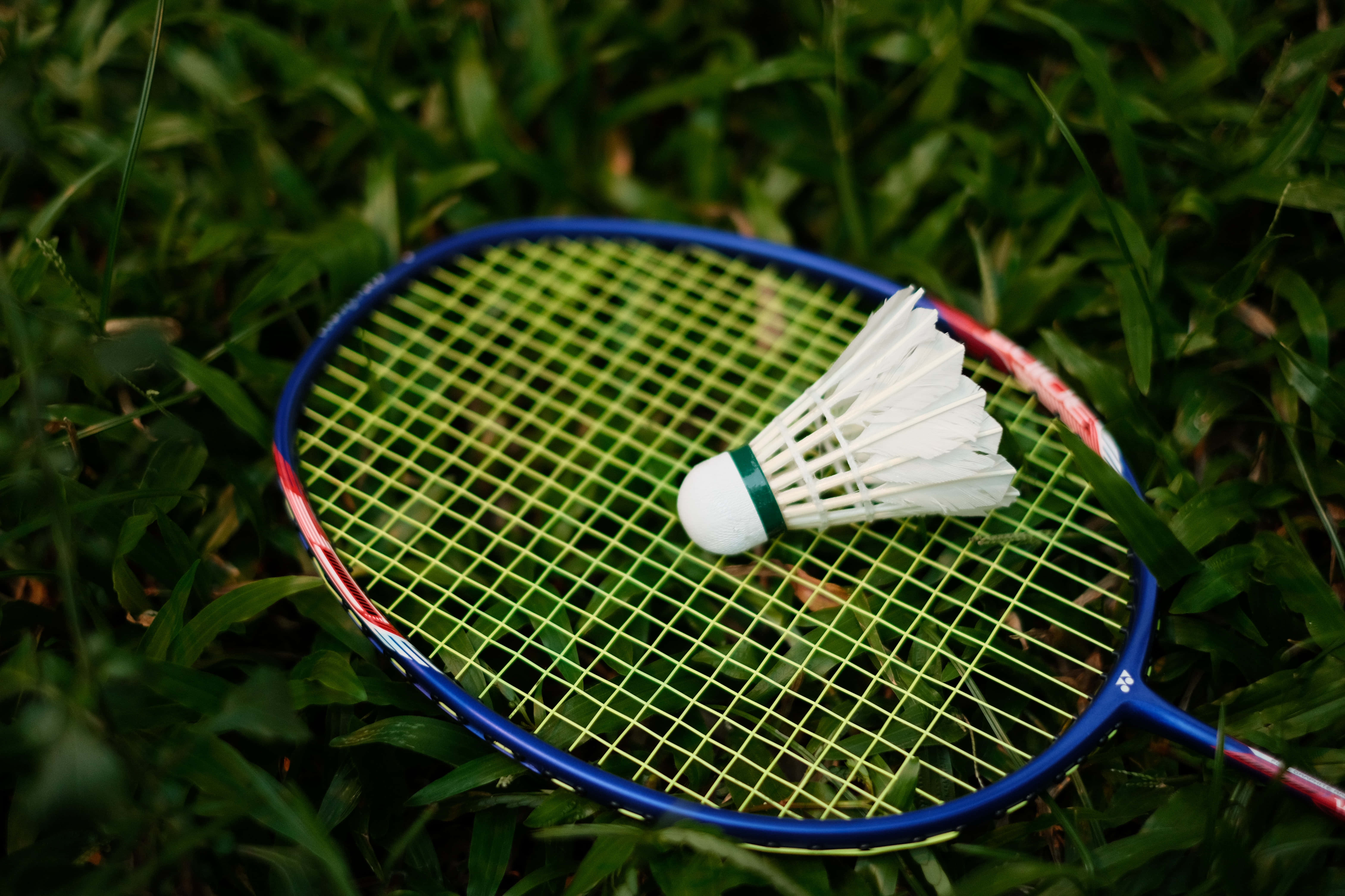 Badminton 桌布 壁紙 — 一個藍紅色的羽毛球拍和一個白色的羽毛球放在鮮綠色的草地上。
