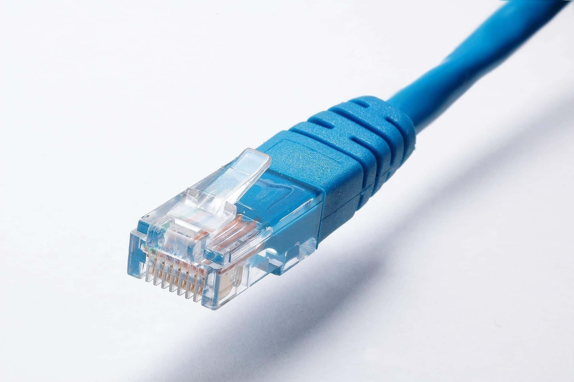 Ethernet 桌布 壁紙 — 一個藍色乙太網線連接器在乾淨白色背景上的特寫。