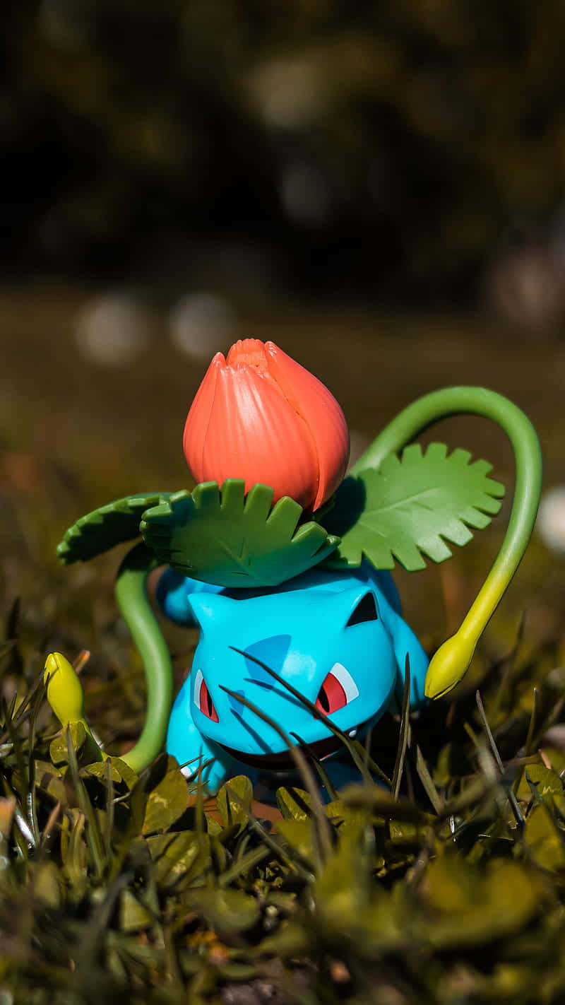 Pokemon Figures 桌布 壁紙 — 一個藍色奇異種子玩具，帶有紅色花朵和綠色葉子，坐在溫暖陽光下的草地上。