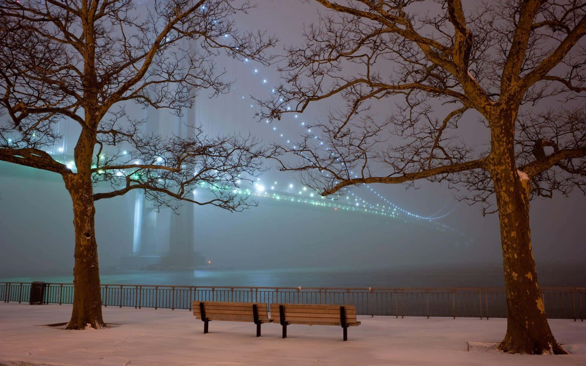 Winter Cityscape 桌布 壁紙 — 一個被光禿樹木框住的積雪公園長椅，凝視著冬夜天空下籠罩在薄霧中的發光橋樑。