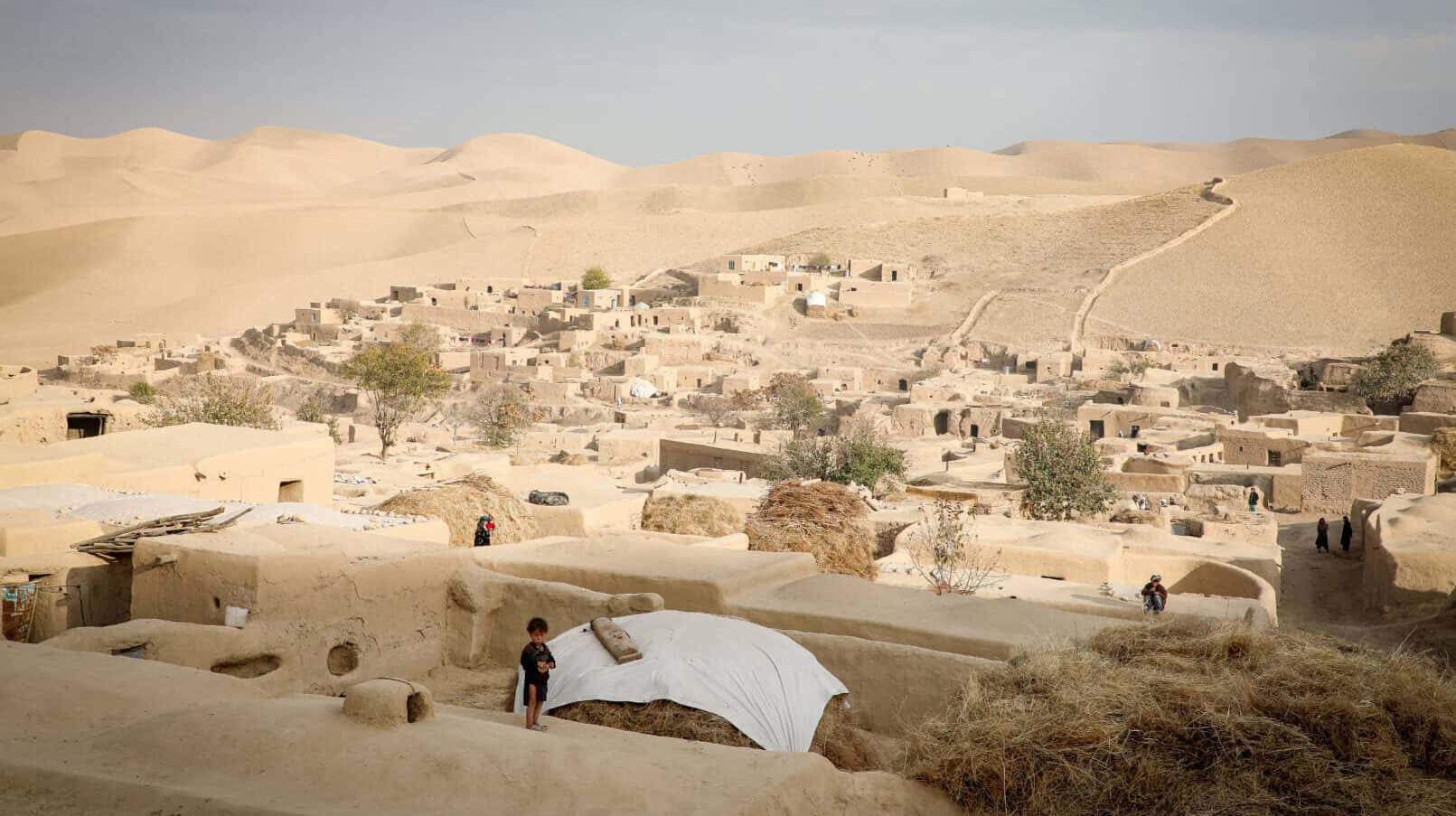 Afghanistan 桌布 壁紙 — 一個被陽光曬烤的沙漠村莊，土坯房屋隱藏在蒼白天空下的金色沙丘之間。
