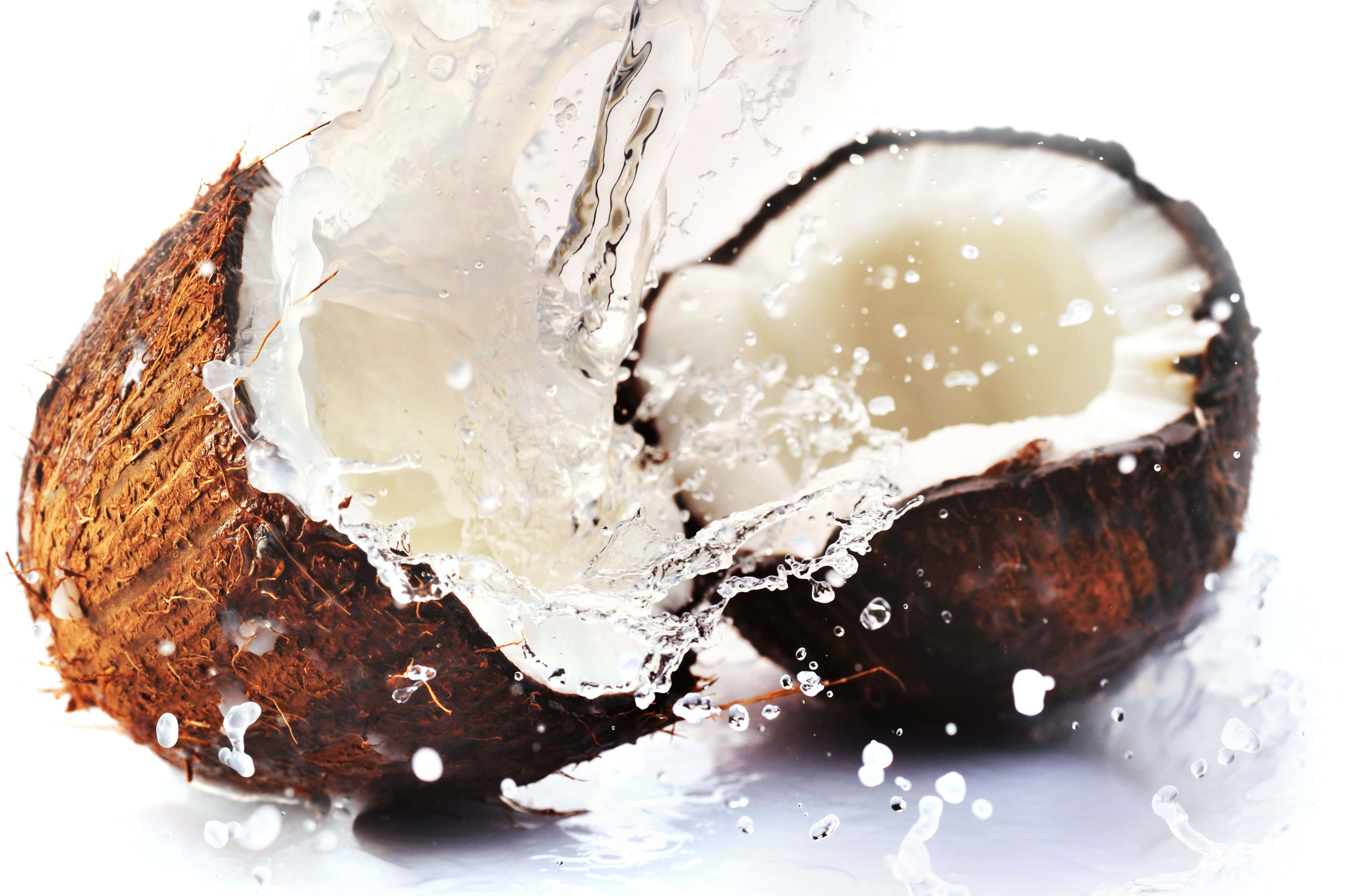Coconut 桌布 壁紙 — 一個裂開的椰子濺起清澈的水花，在純白背景上露出其奶油般的內部。