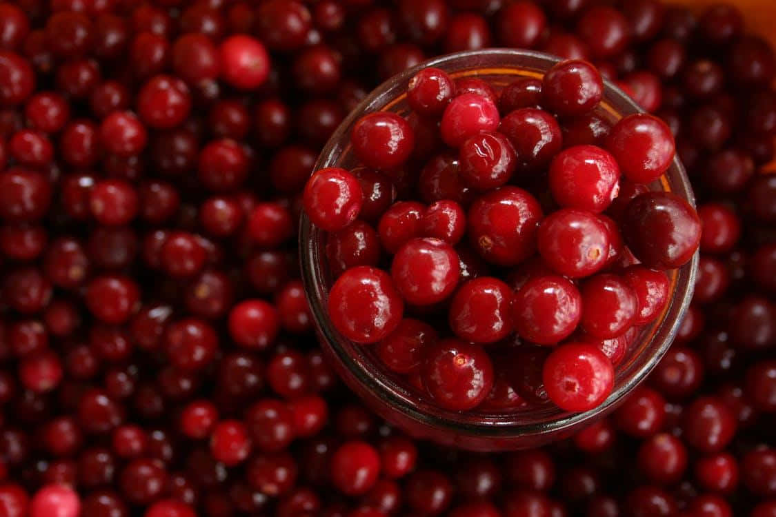 Winter Fruits 桌布 壁紙 — 一個裝滿光澤紅莓的玻璃碗，特寫鏡頭下置於一片相同的莓果海洋之上。
