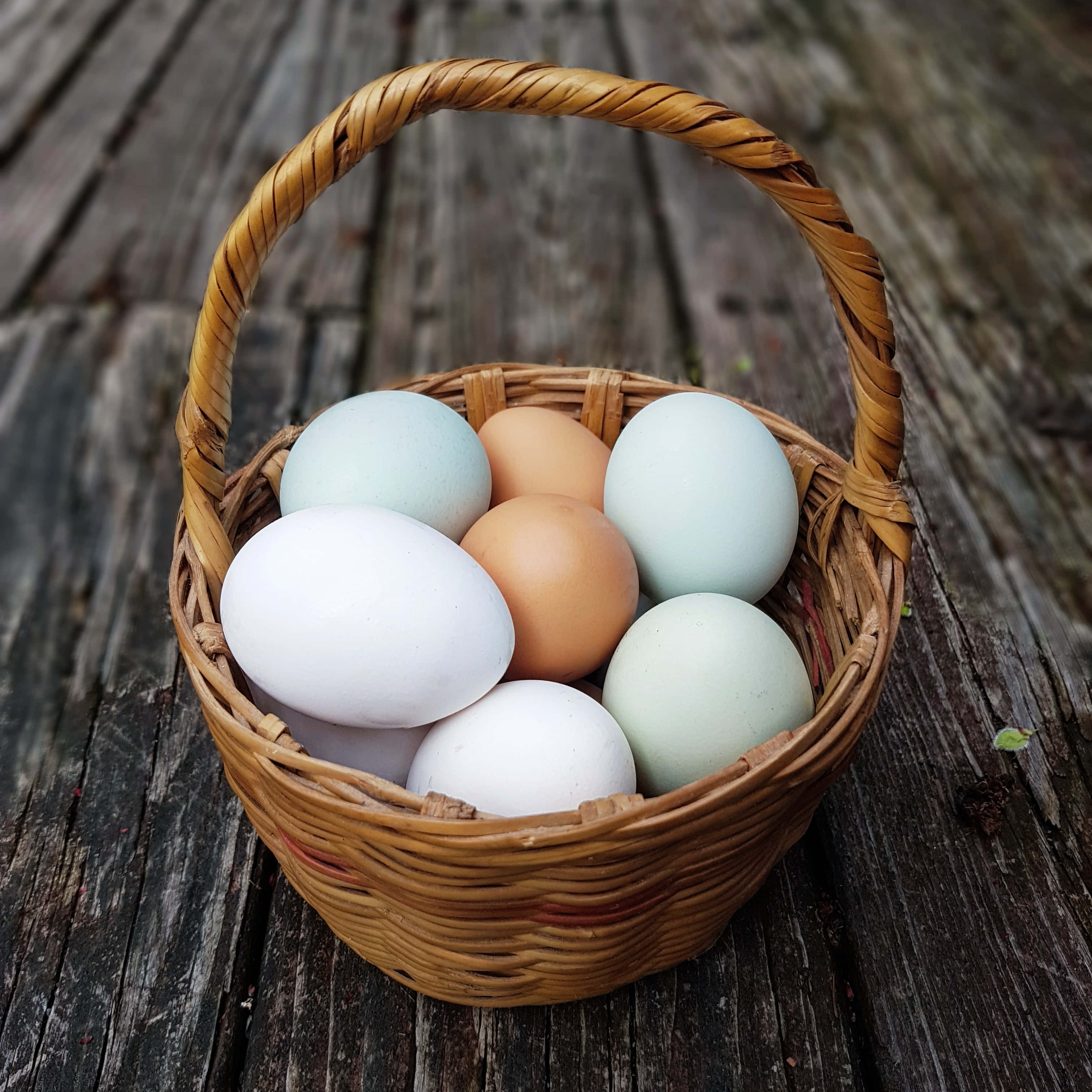 Egg 桌布 壁紙 — 一個裝滿粉彩和棕色雞蛋的編織籃子放在風化的木板上，柔和自然光下。