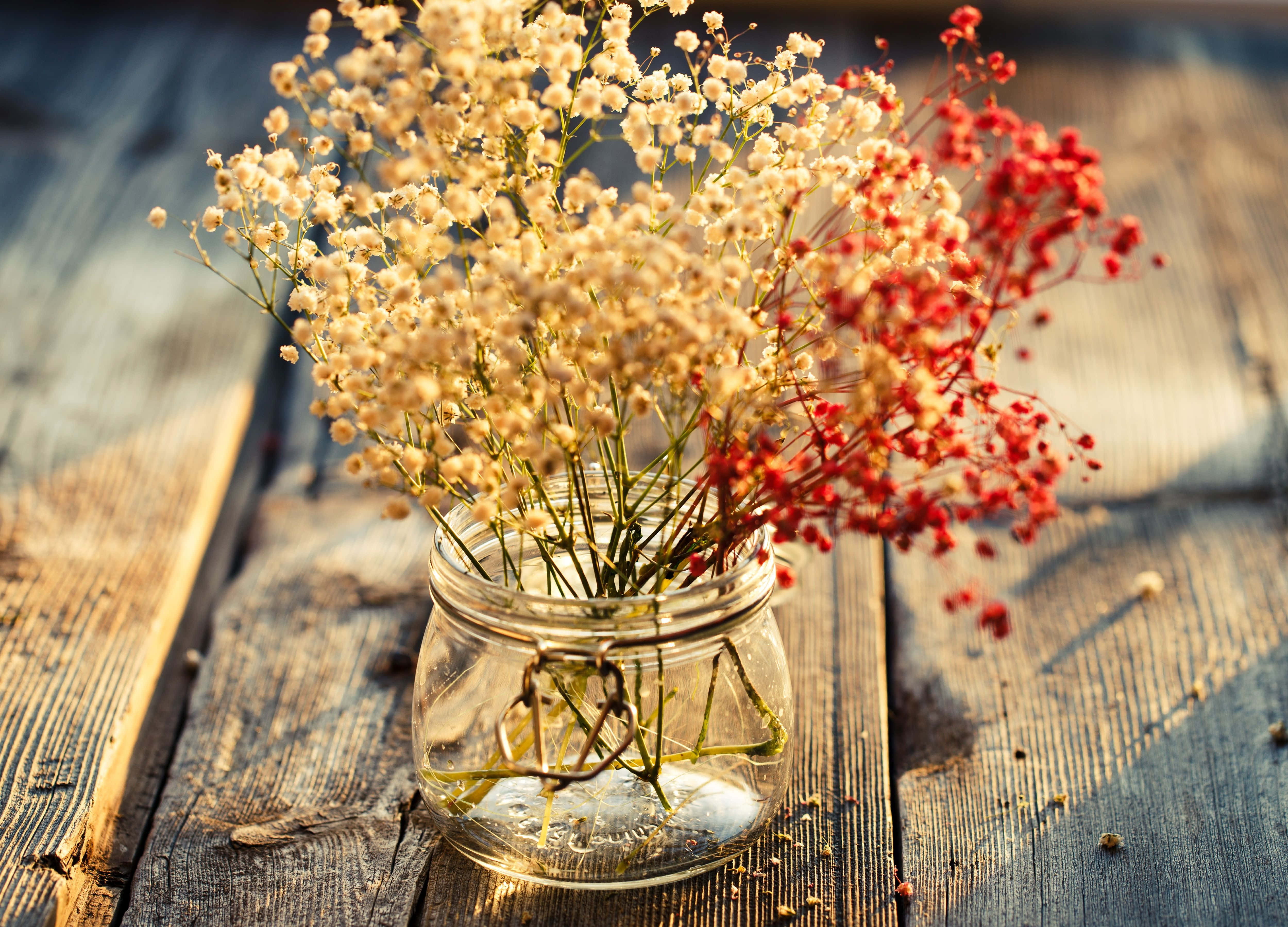 Dried Flowers 桌布 壁紙 — 一個裝滿精緻白色和鮮豔紅色滿天星花朵的玻璃瓶，放置在一個沐浴在溫暖金色陽光下的風化木質表面上。