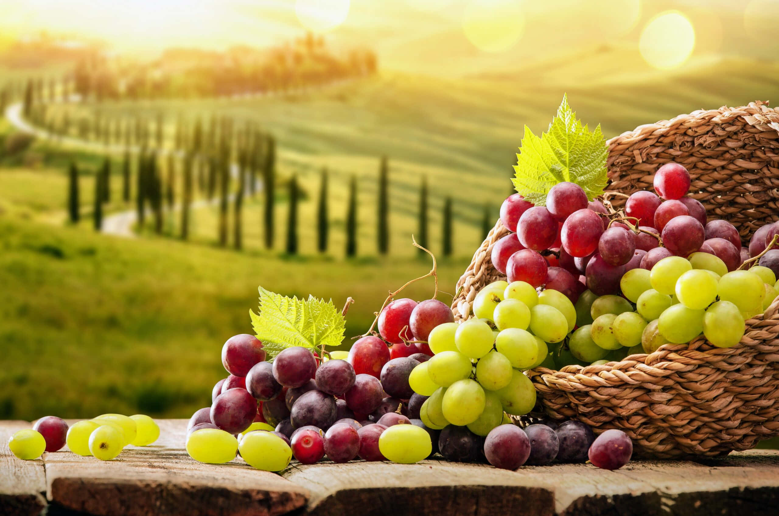Grapes 桌布 壁紙 — 一個裝滿紅葡萄和青葡萄的籃子放在木桌上，背景是陽光普照的托斯卡納鄉村風光。