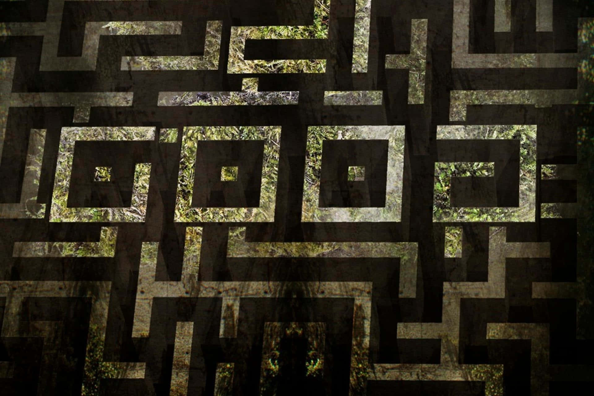 Maze Runner 桌布 壁紙 — 一個複雜的幾何迷宮圖案疊加在一個帶有苔蘚紋理和斑駁光線的黑暗森林場景上。