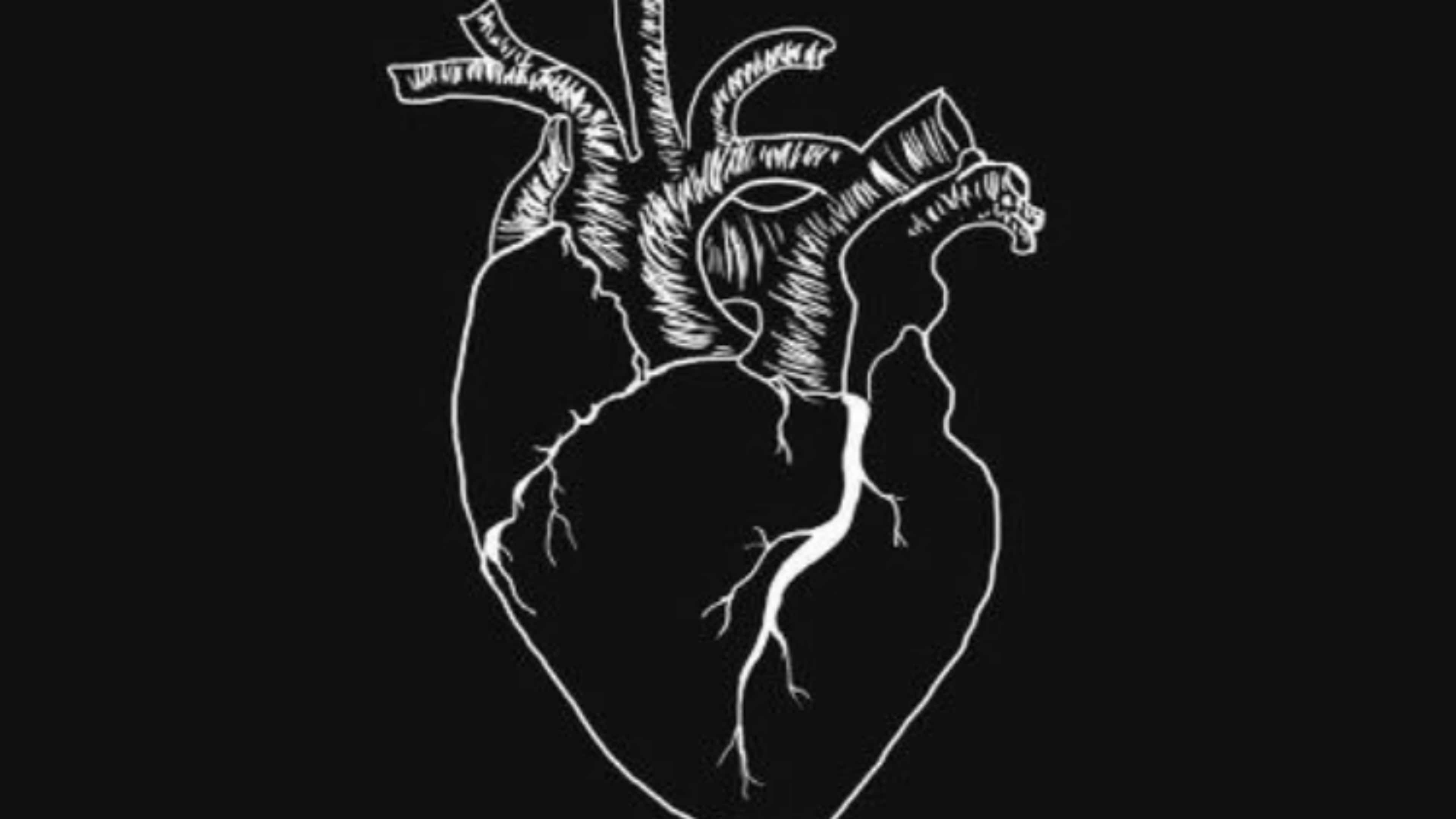 Broken Heart Black 桌布 壁紙 — 一個詳細嘅白色線條畫，畫出一個人類心臟，上面有明顯嘅動脈同靜脈，背景係純黑色。