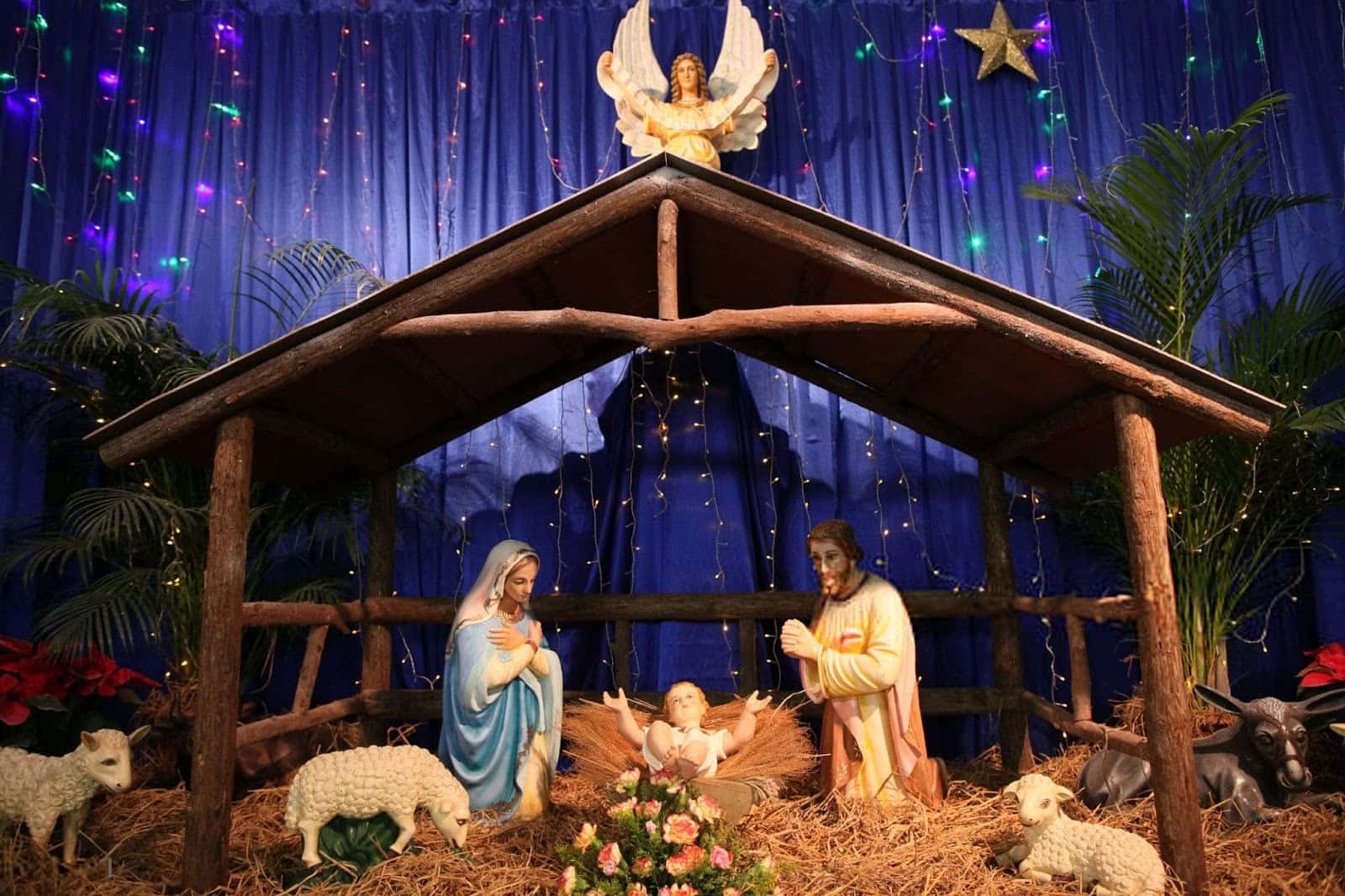 Nativity 桌布 壁紙 — 一個詳細的耶穌誕生場景，瑪利亞、約瑟和嬰兒耶穌在木製馬槽下，有羊和天使在上方，背景是藍色窗簾和仙女燈。